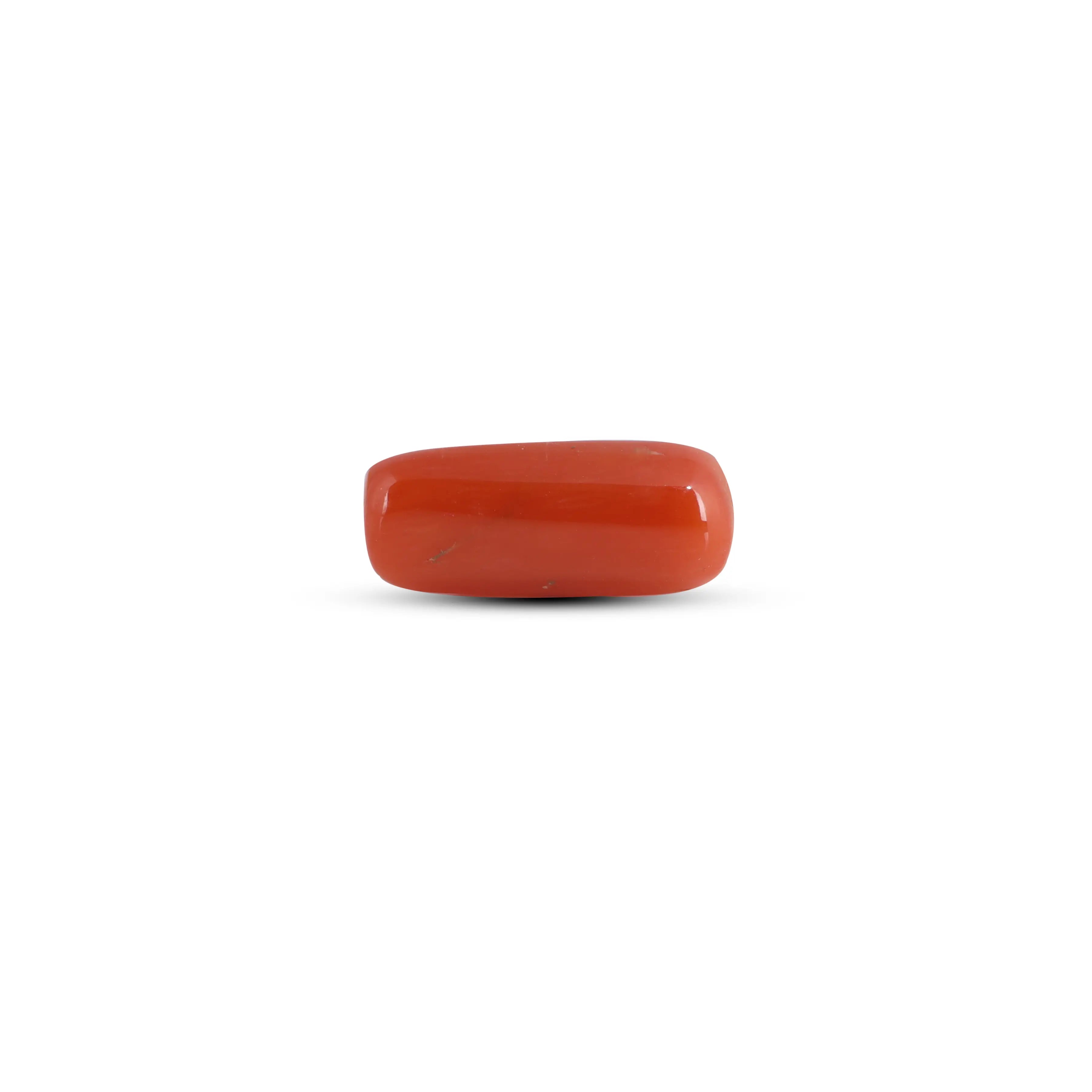 Pramogh Red Coral - 3.1 Carat