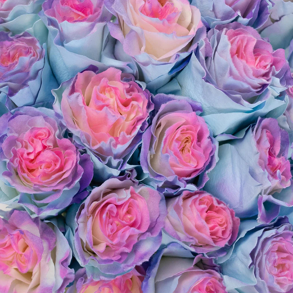 FiftyFlowers Tinted Cotton Candy Fuzzy Roses - view 4