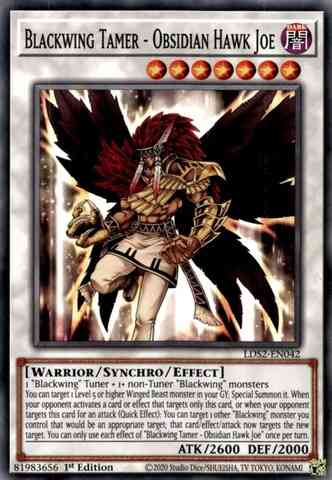 Yu-Gi-Oh! Blackwing Tamer - Obsidian Hawk Joe - LDS2-EN042 - Common - 1st Edition