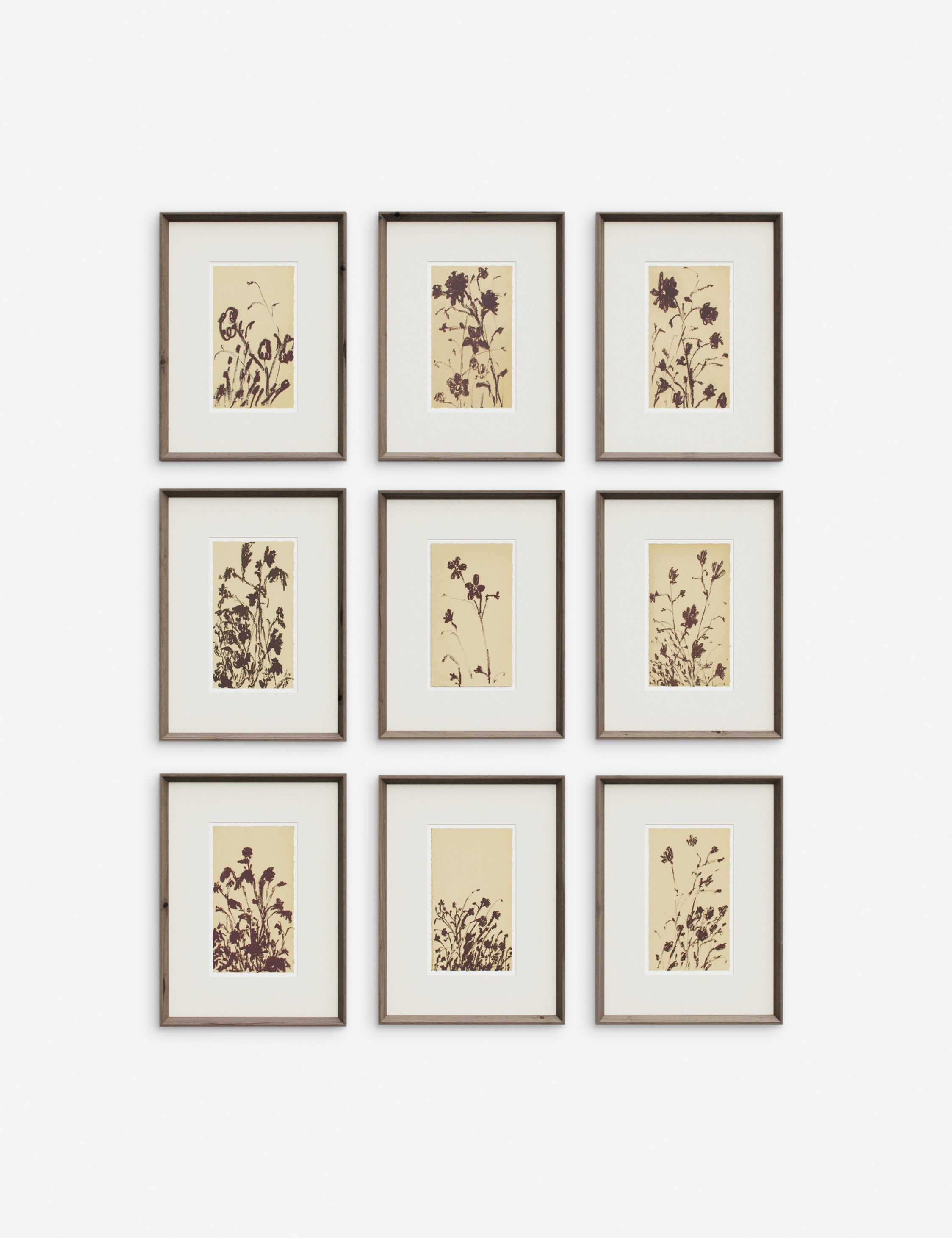Lulu and Georgia Wild Blooms Wall Art (Set of 9) by Shaina Page