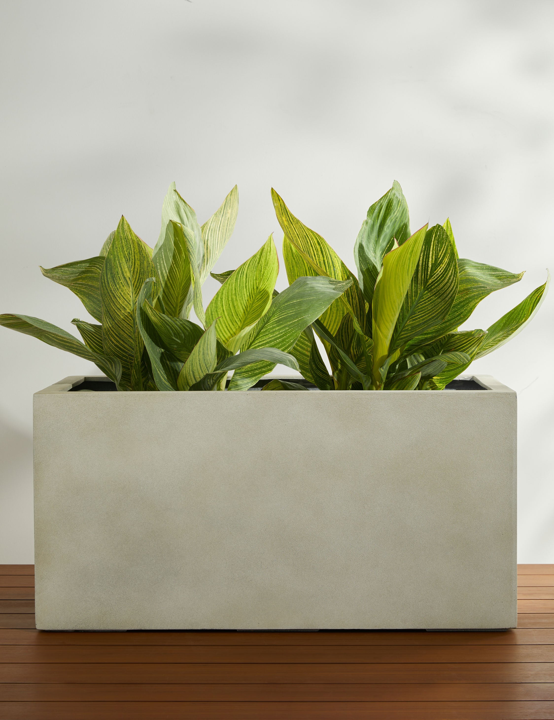 Lulu and Georgia Sandal Planter by Campania International