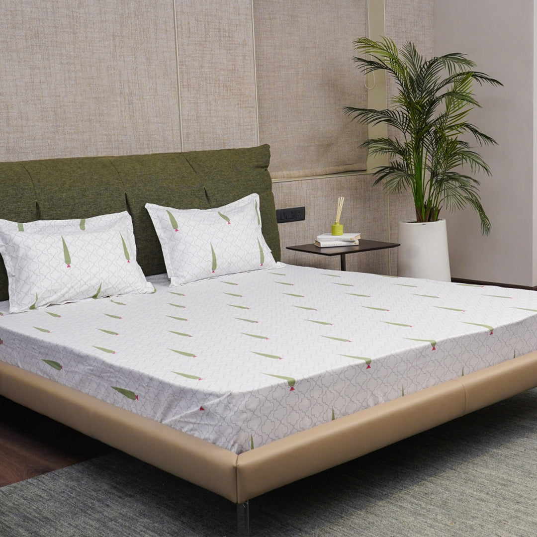 Urban Space -Home Furnishing Store Regal Collection - Breathable 200 TC 100% Pure Cotton Bedsheet with Pillow Cover, Pinewood Grey Green