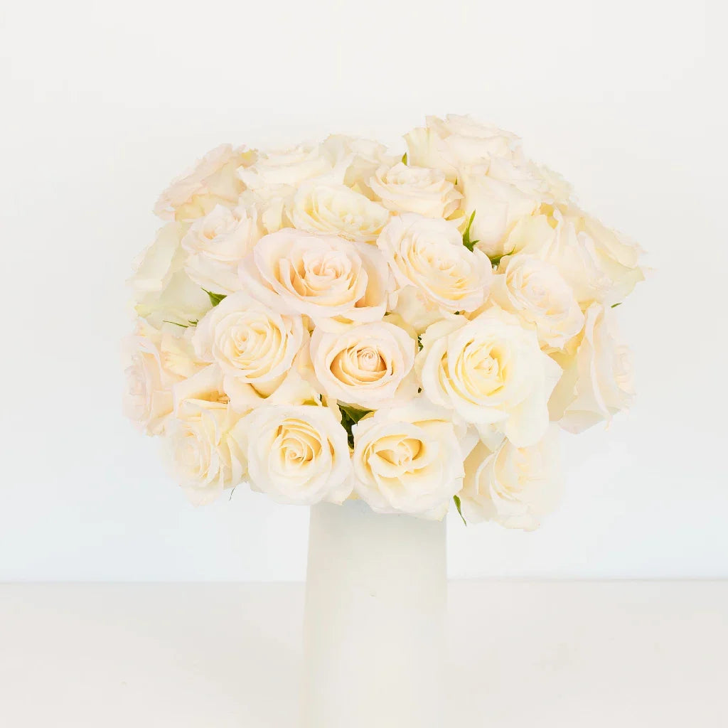 FiftyFlowers Creamy Ivory Pearl Roses - view 2