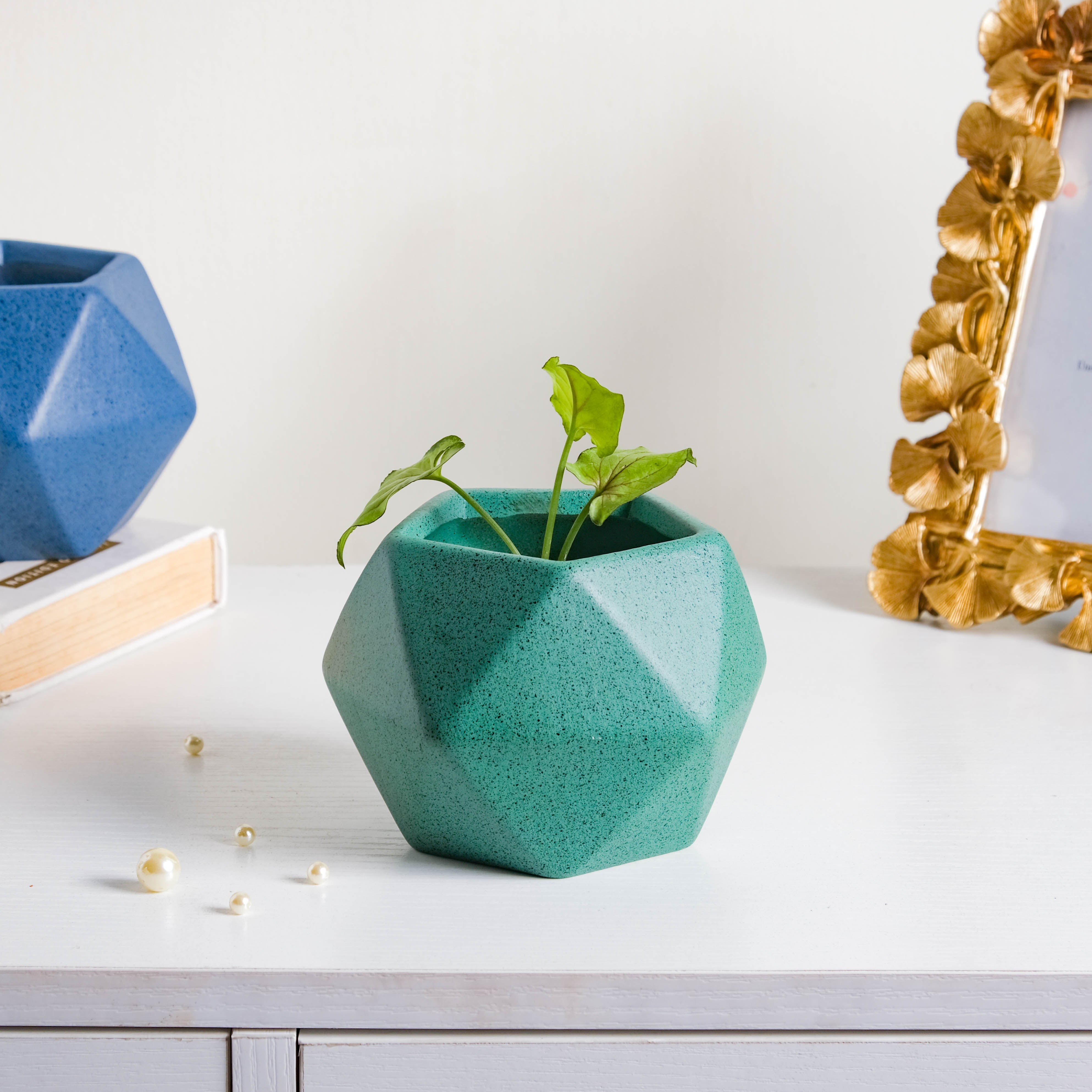 Nestasia Green Abstract Plant Pot