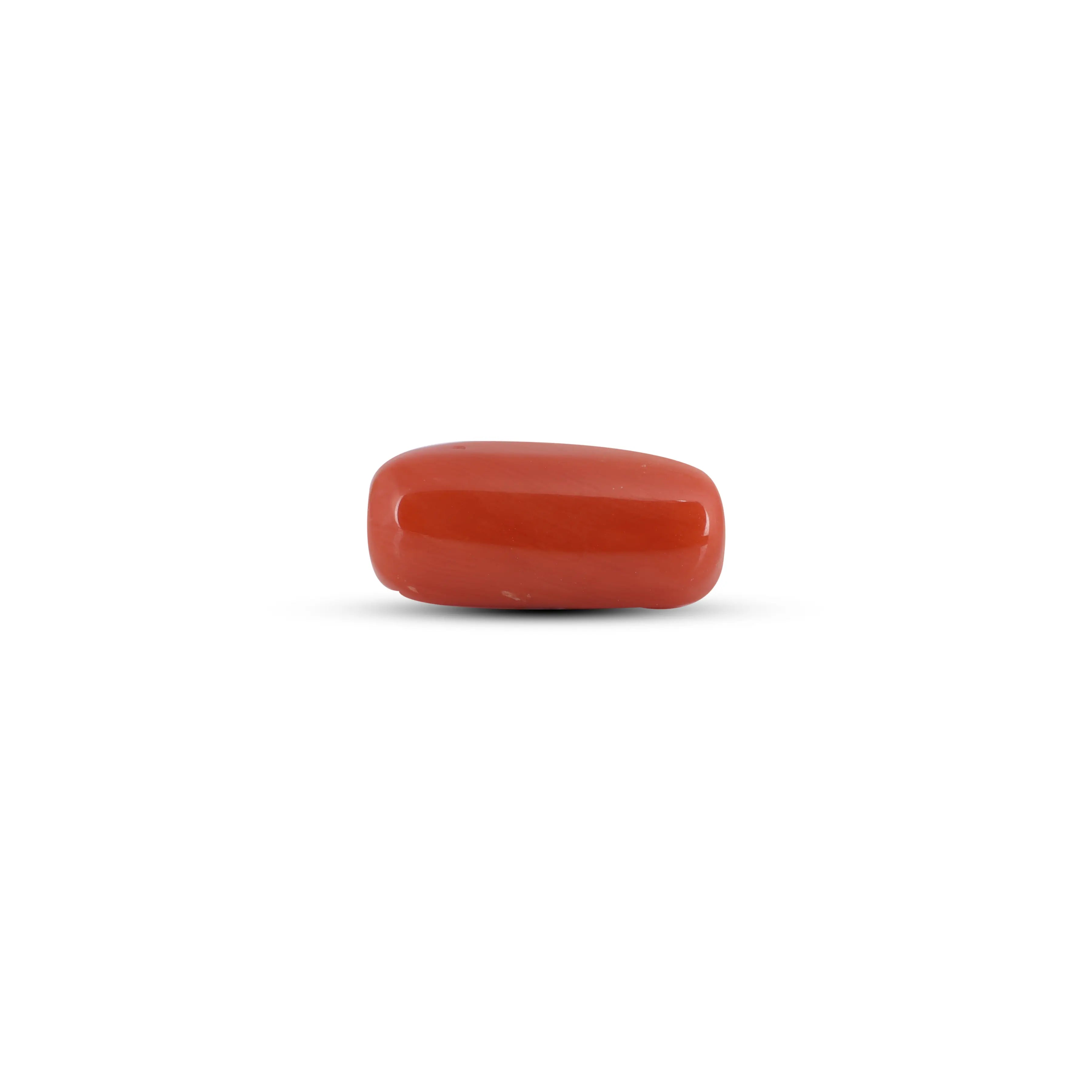 Pramogh Red Coral - 6.8 Carat