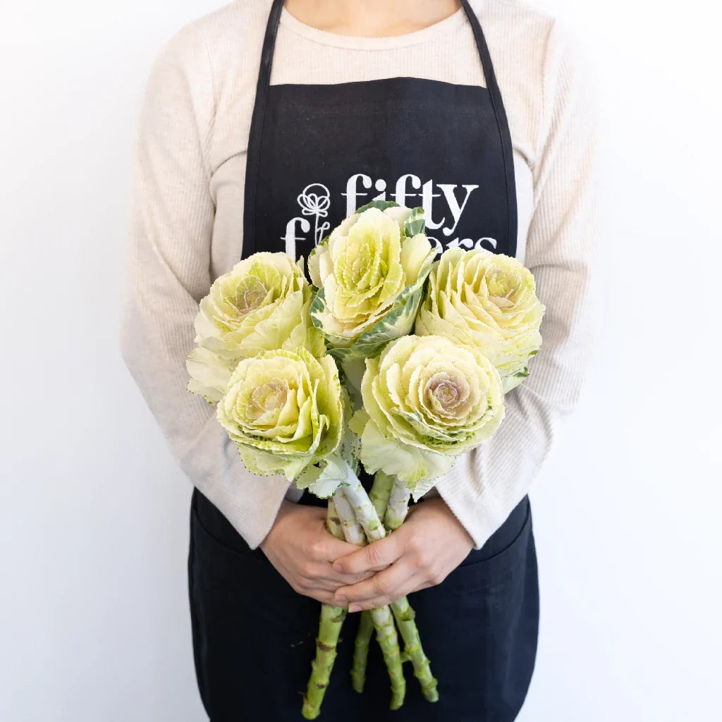 FiftyFlowers Ivory Princess Kale