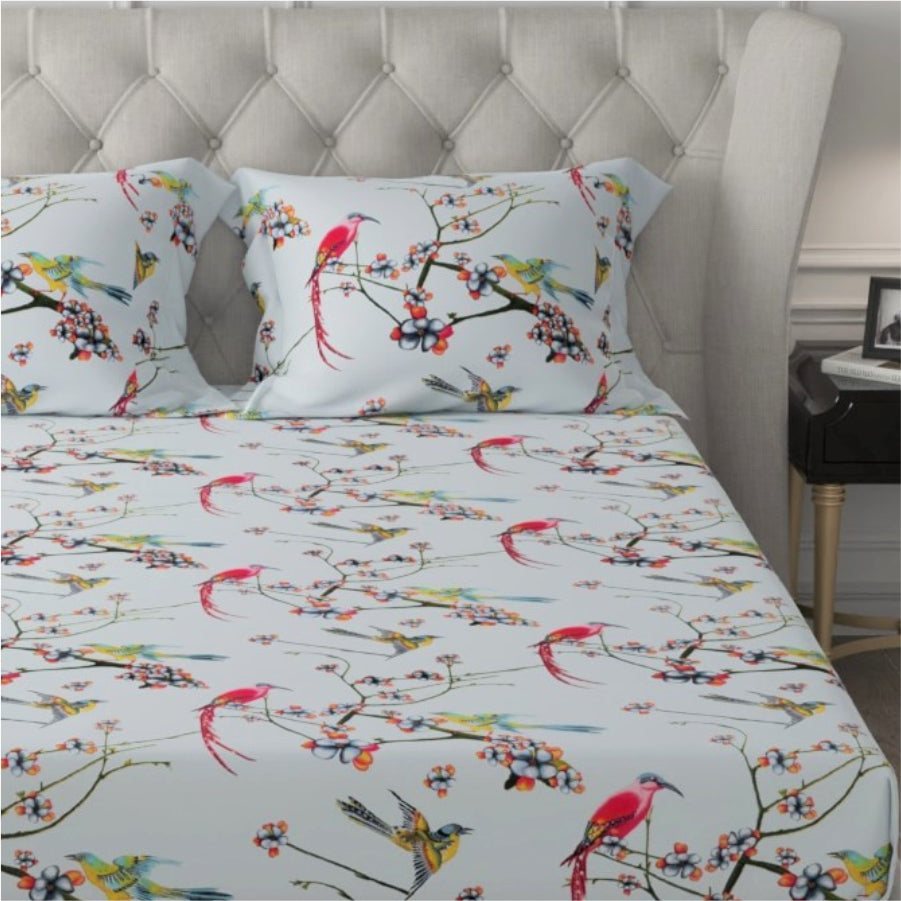 Urban Space -Home Furnishing Store Fitted King Size Cotton Bedsheet - Sparrow Aqua