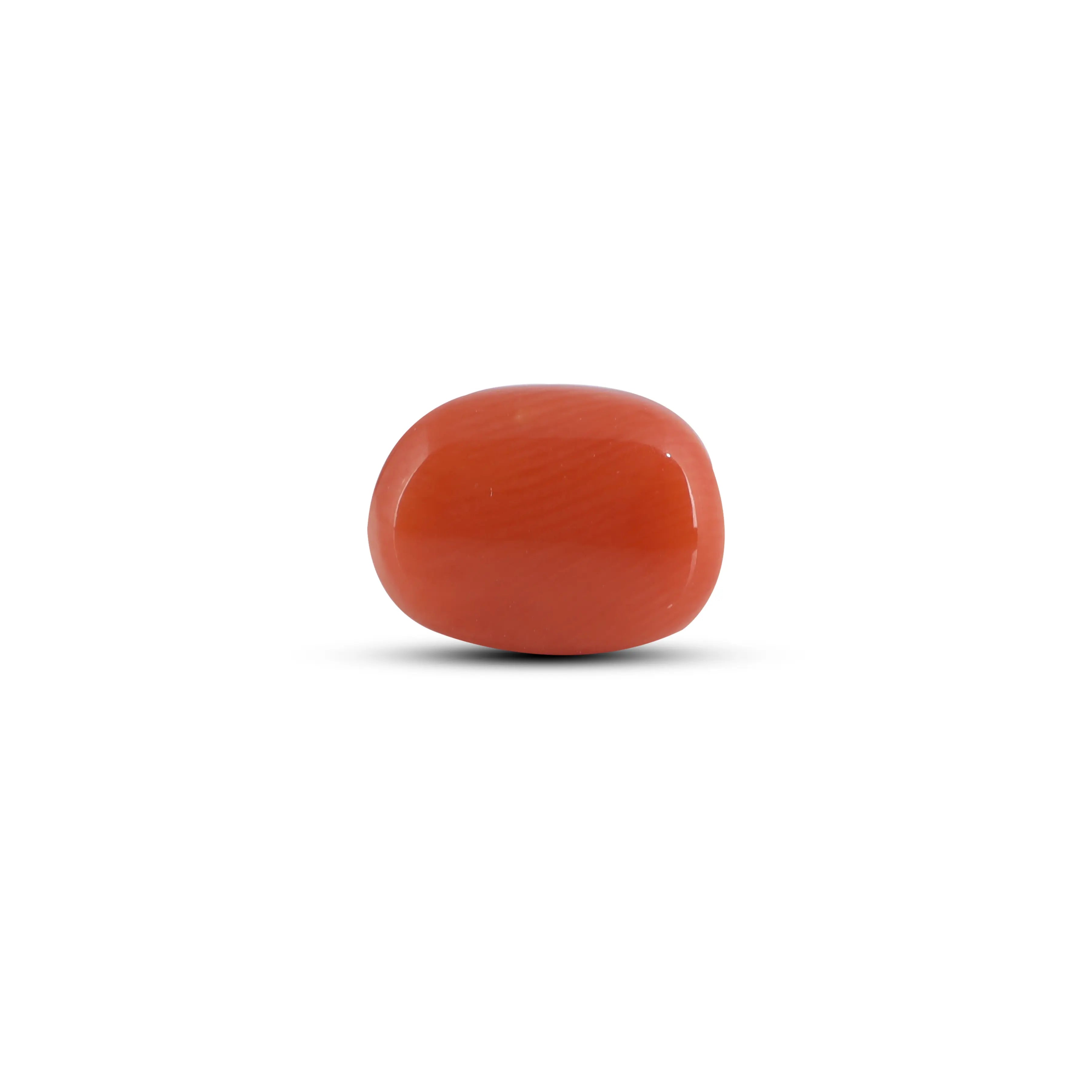 Pramogh Red Coral - 3.9 Carat - view 2