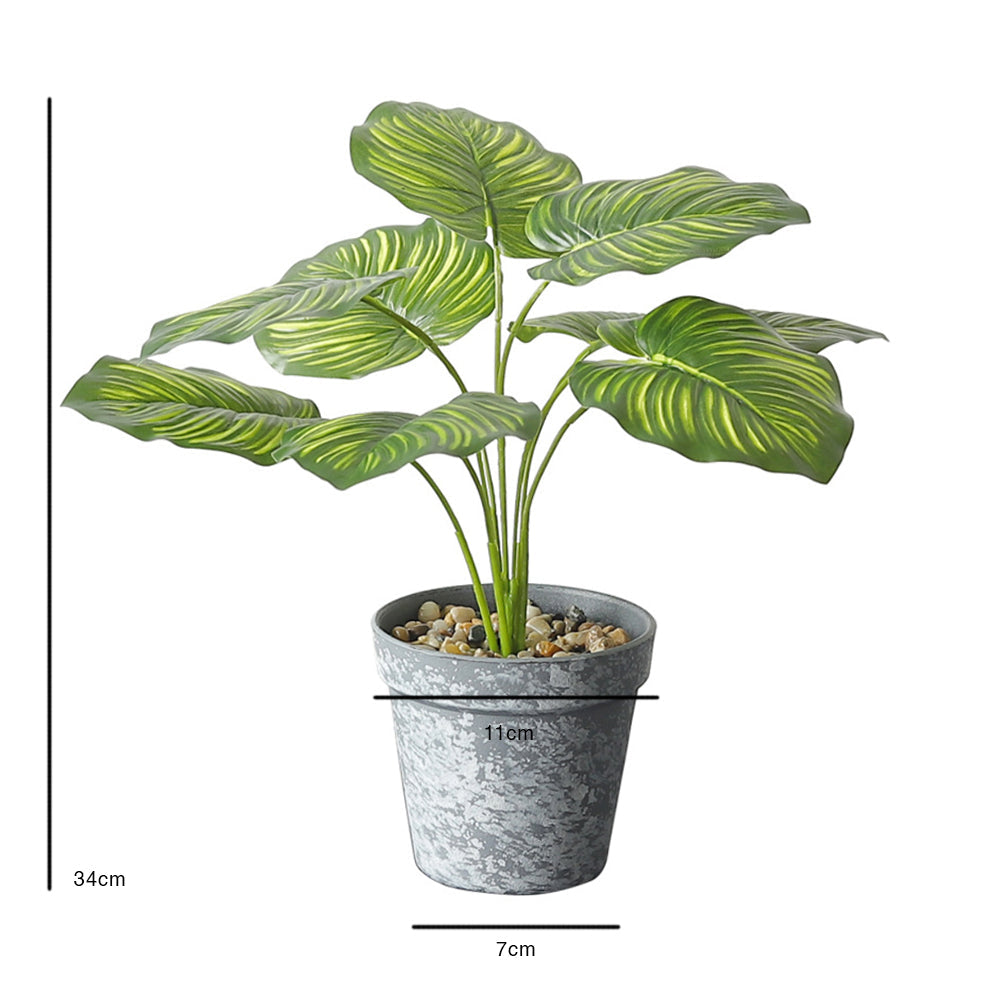 Nestasia Artificial Plant in Pot - view 10