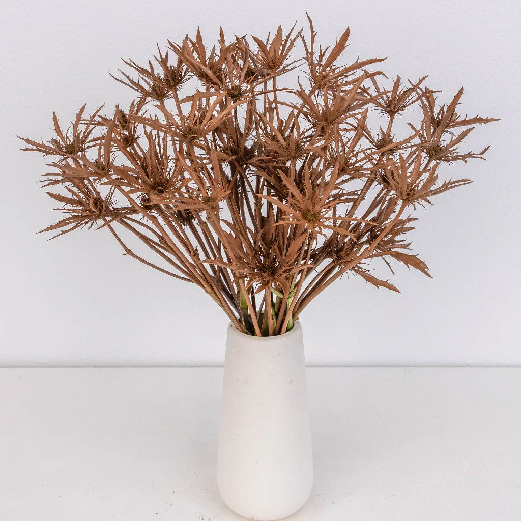 FiftyFlowers Mocha Mousse Thistle Flowers