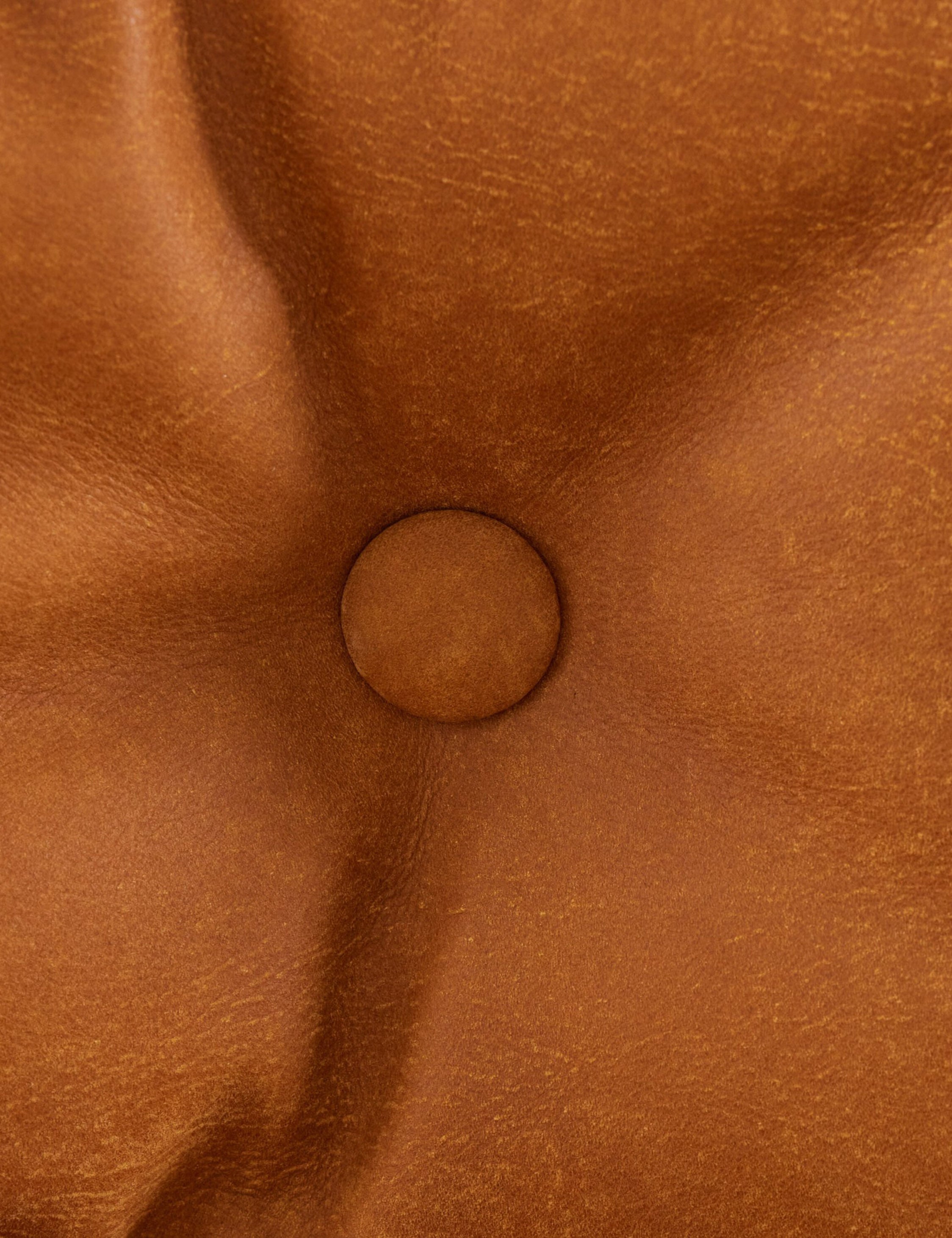 Lulu and Georgia Caruso Accent Chair – Cognac Leather - view 5