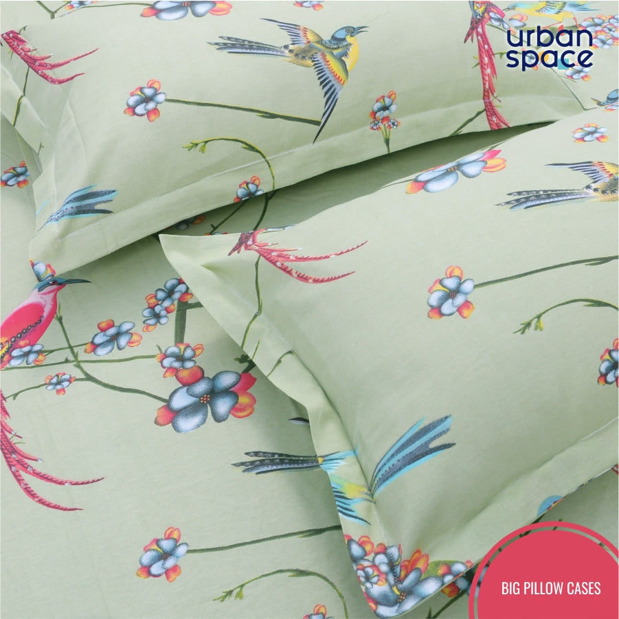 Urban Space -Home Furnishing Store Fitted King Size Cotton Bedsheet - Sparrow Mint Green - view 5