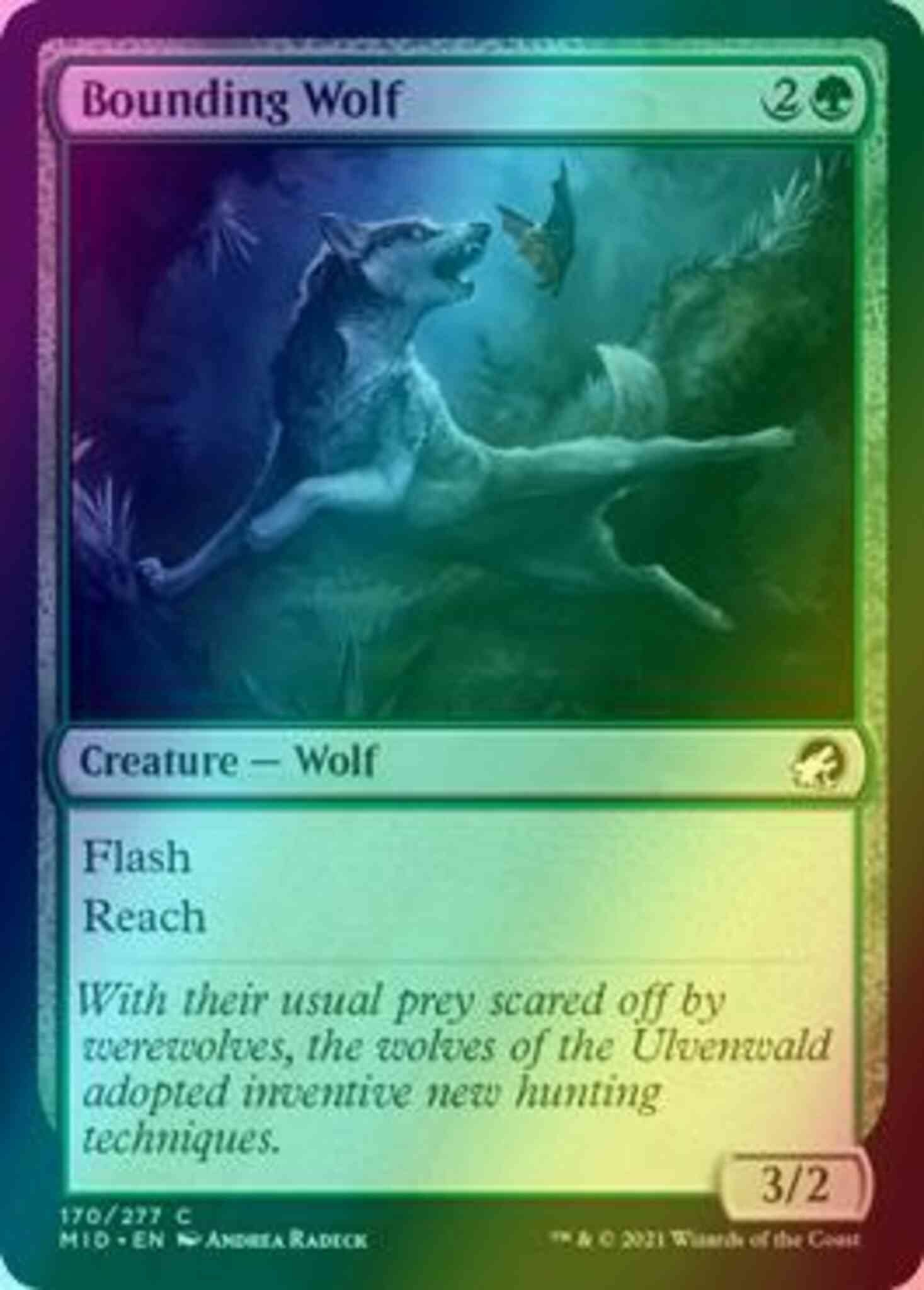 Bounding wolf 170 – Magic Bounding Wolf [170] [Innistrad: Midnight Hunt] [Foil]