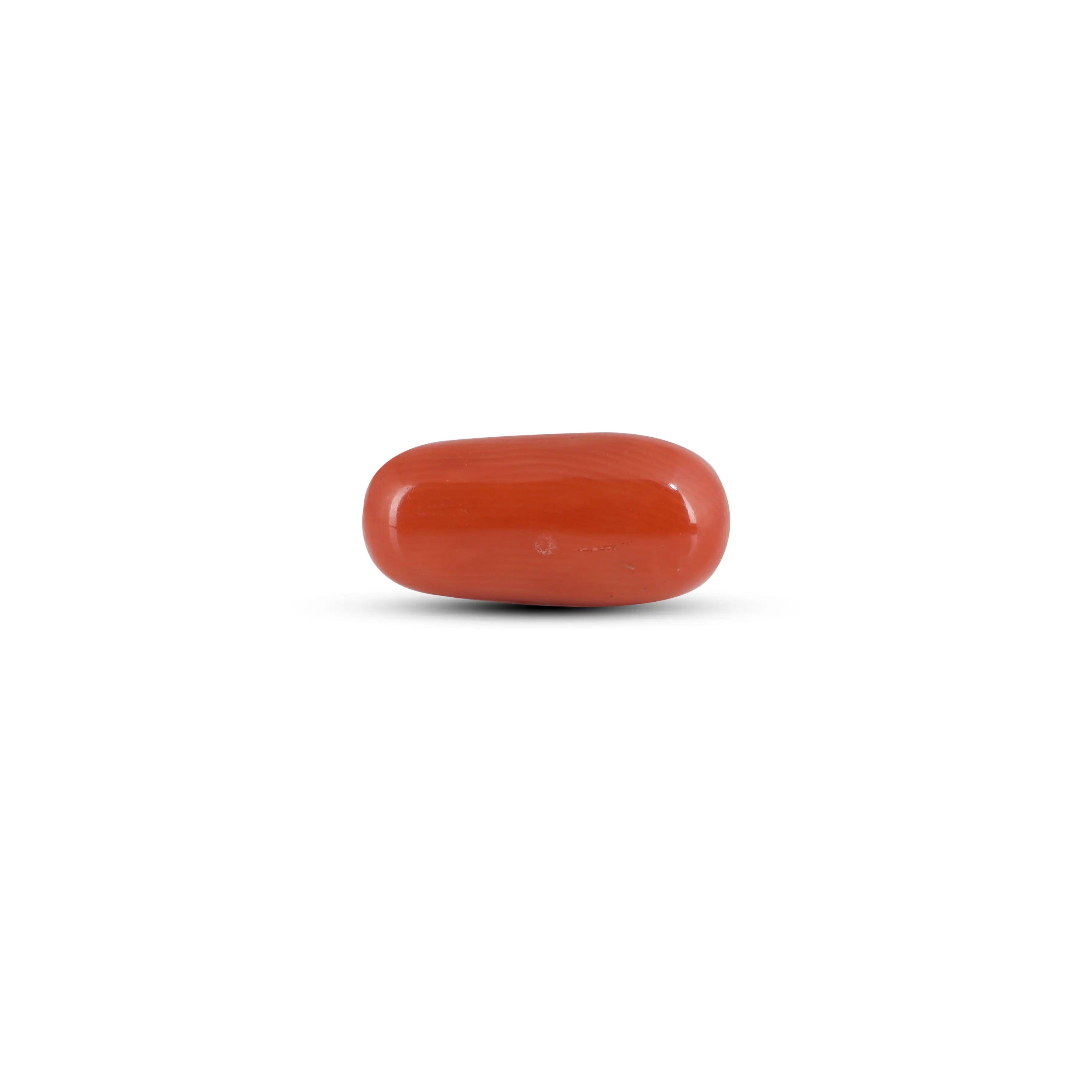 Pramogh Red Coral - 4.1 Carat