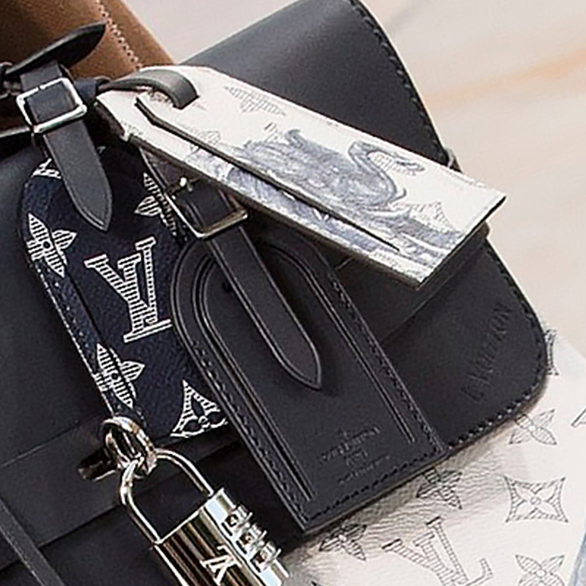 Louis Vuitton Luggage Tag Monogram Savane Chapman Brothers - view 4
