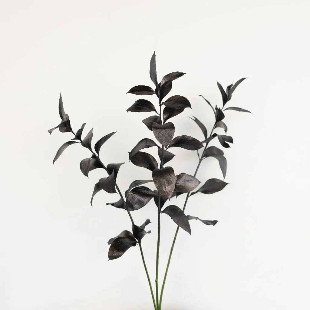FiftyFlowers Black Tinted Ruscus Greenery - view 2