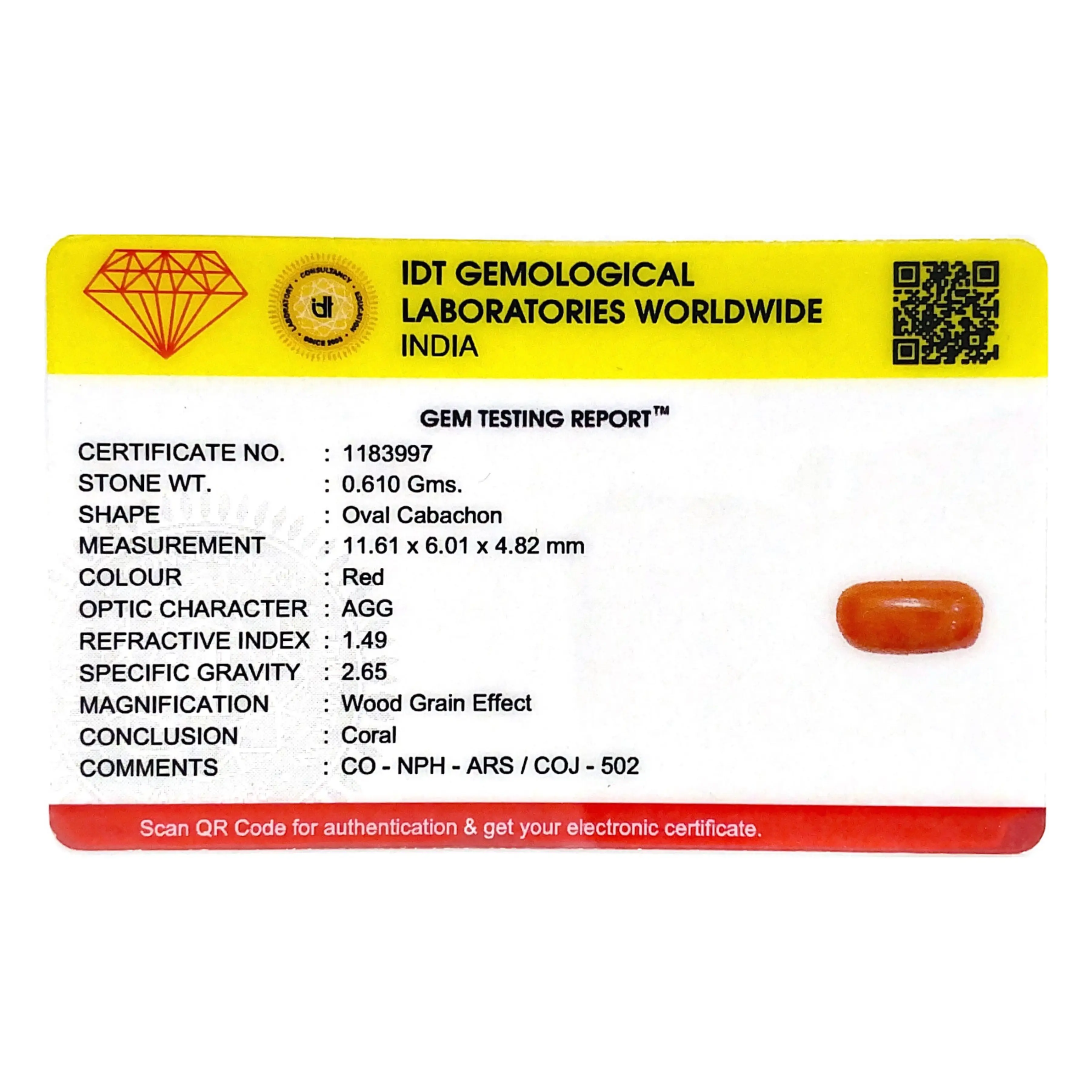 Pramogh Red Coral - 3.05 Carat - view 4