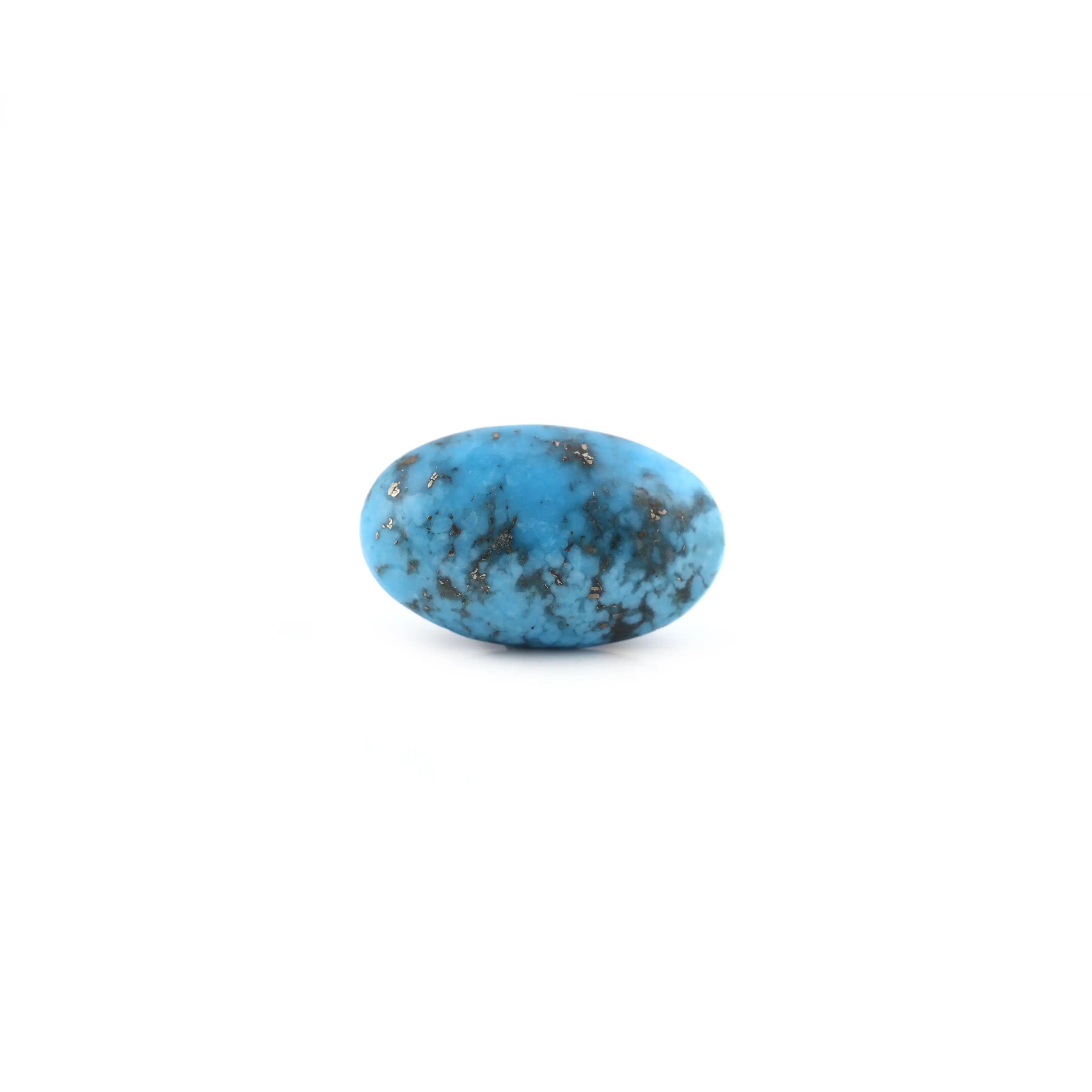 Pramogh Irani Firoza - 13.25 Carat