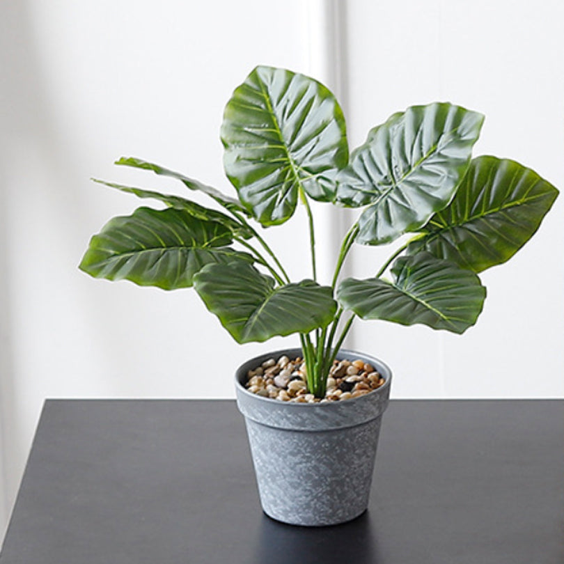 Nestasia Artificial Plant in Pot - view 5