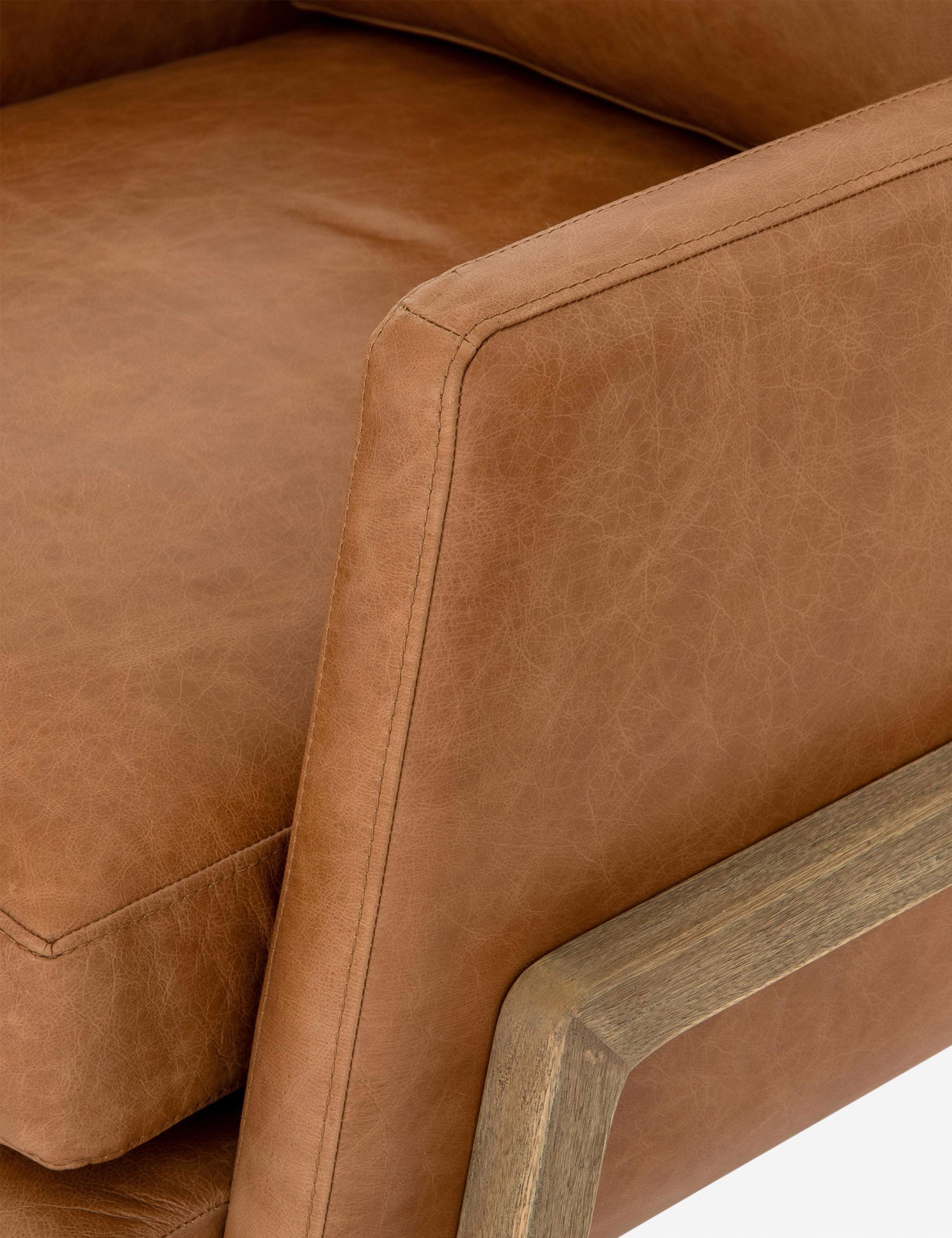 Lulu and Georgia Afton Accent Chair - view 12