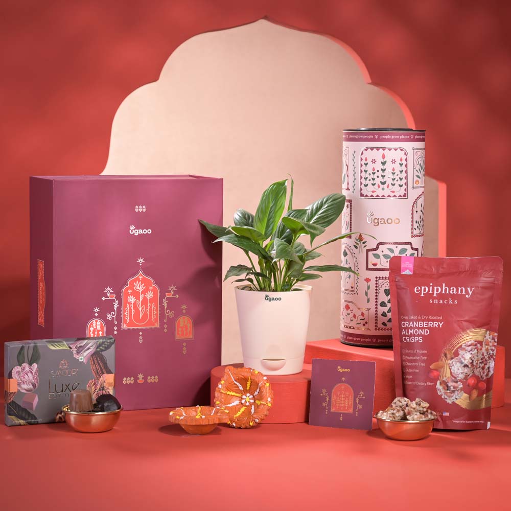 Ugaoo Light & Luck Diwali Gift Hamper