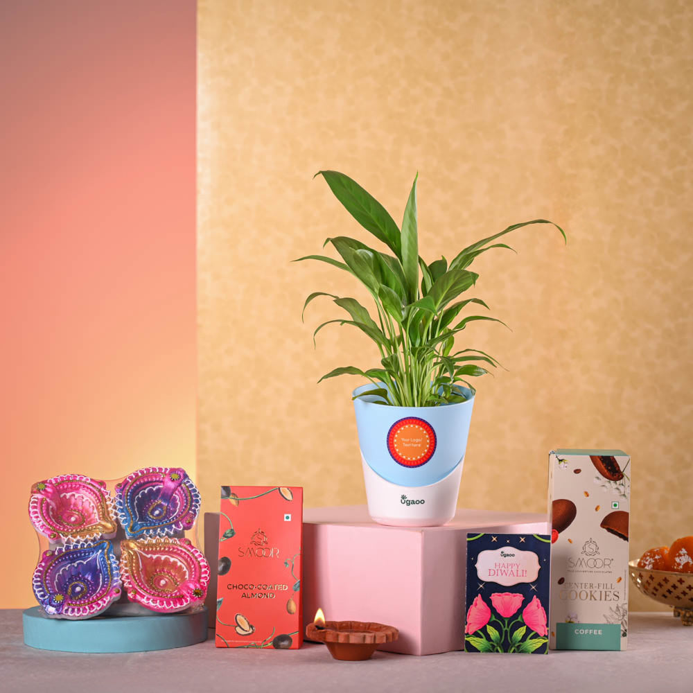 Ugaoo Peace lily and Smoor chocolates Diwali Gift hamper