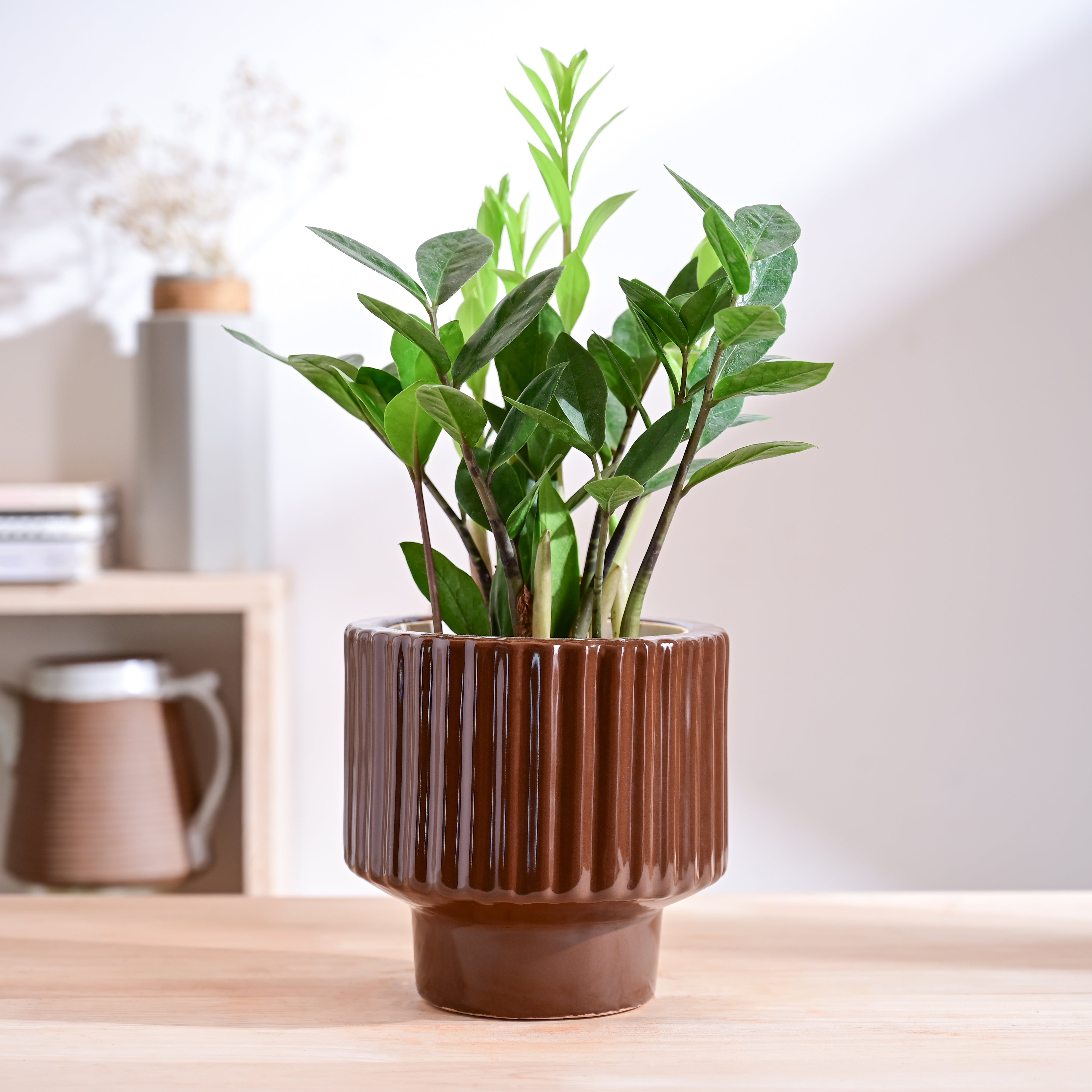 Ugaoo Forms of Love Ceramic Planter - view 33