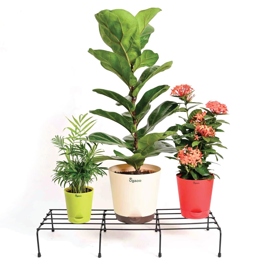 Ugaoo Garden Plants Stand - view 2