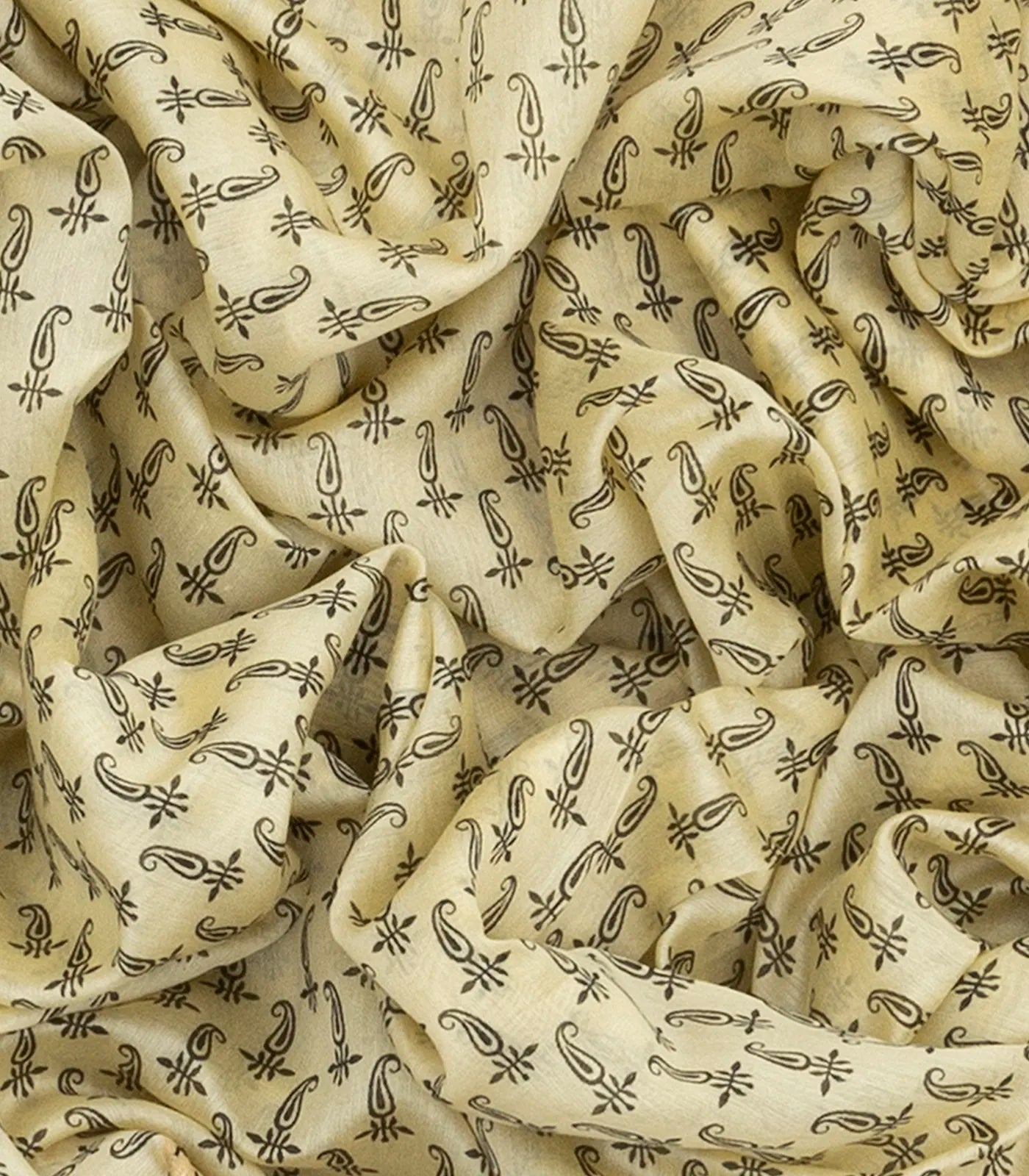 RmKV Cream Handloom Chanderi Cotton Saree With Printed Mango Motifs-Cream - view 3