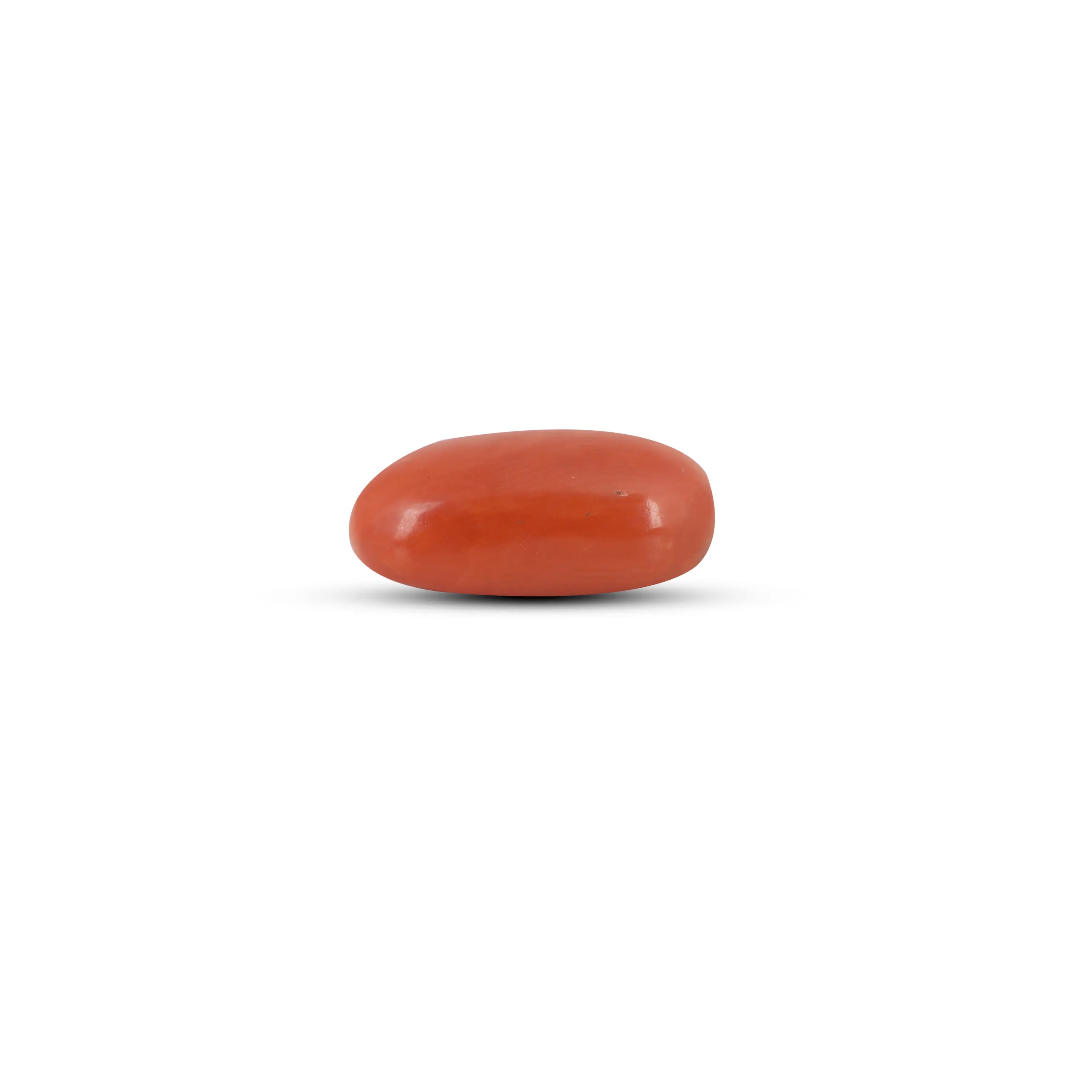 Pramogh Red Coral - 5.4 Carat - view 3