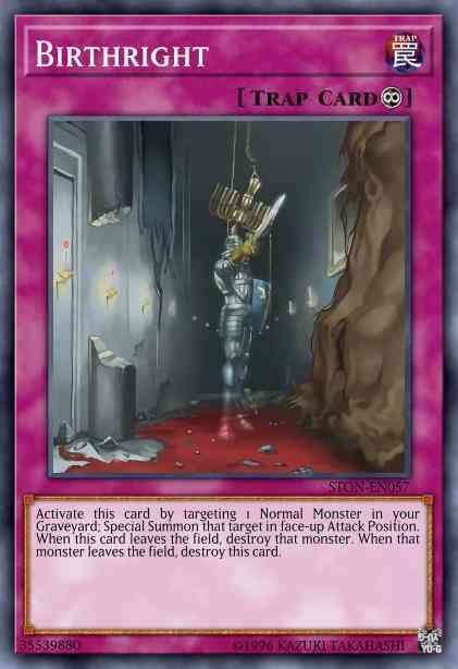 Yu-Gi-Oh! Birthright - 5DS1-EN040 - Common - Unlimited