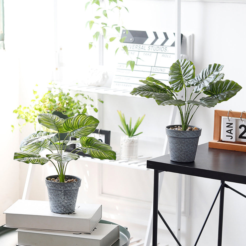 Nestasia Artificial Plant in Pot - view 3