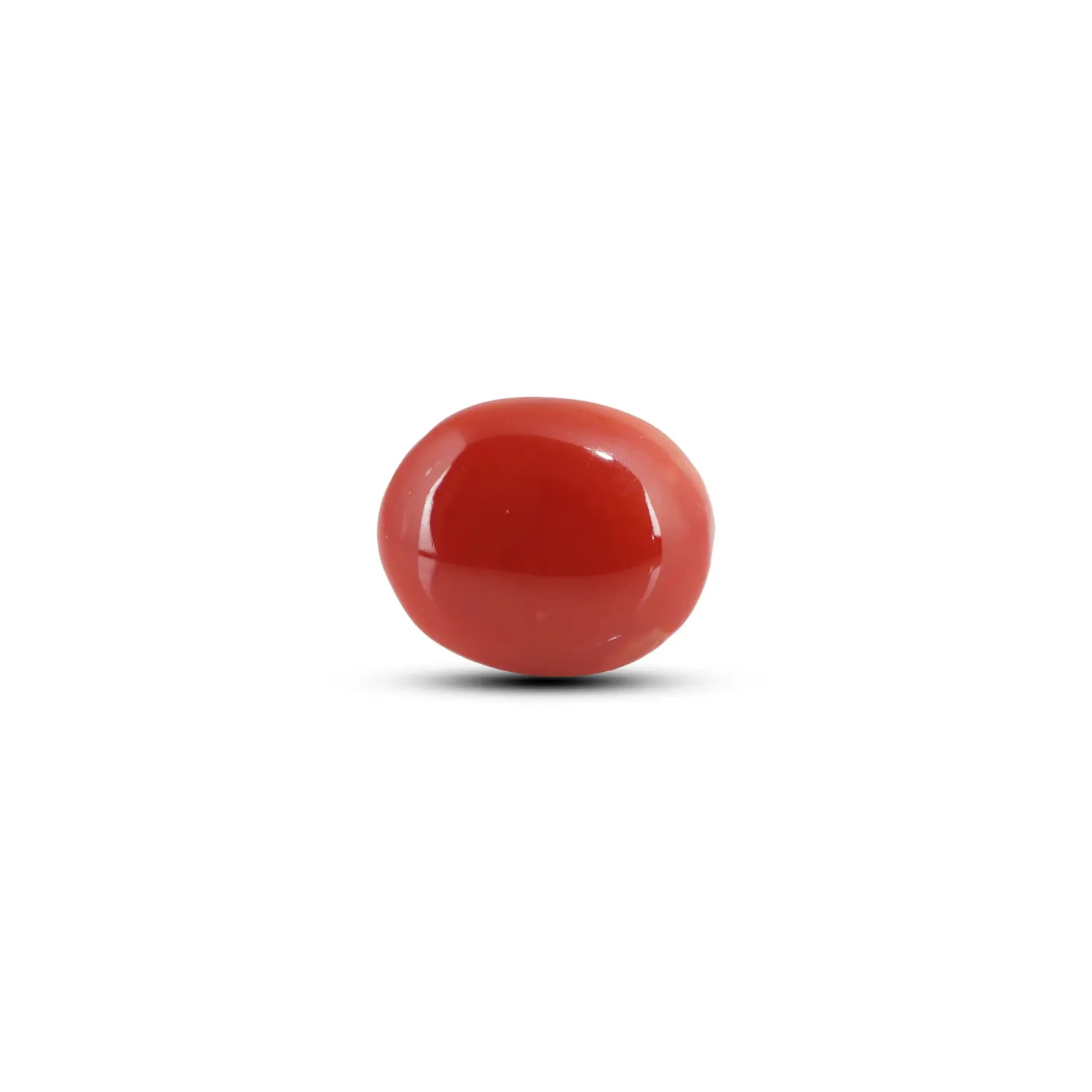 Pramogh Japanese Red Coral - 5.6 Carat