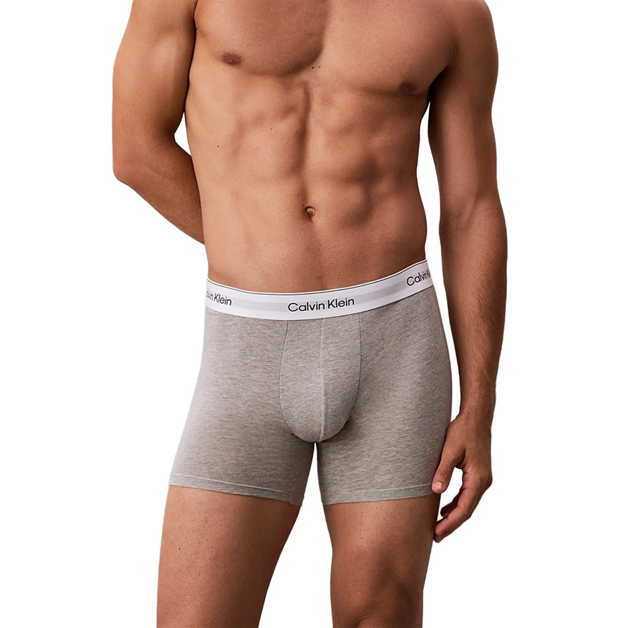 Calvin Klein White Black Grey Boxer Briefs Three Pack - view 5