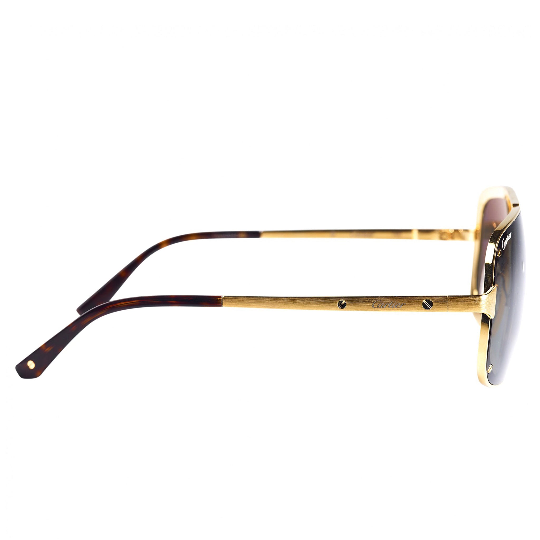 Cartier Eyewear CT0194S-002 Santos De Cartier Silver Sunglasses - view 2