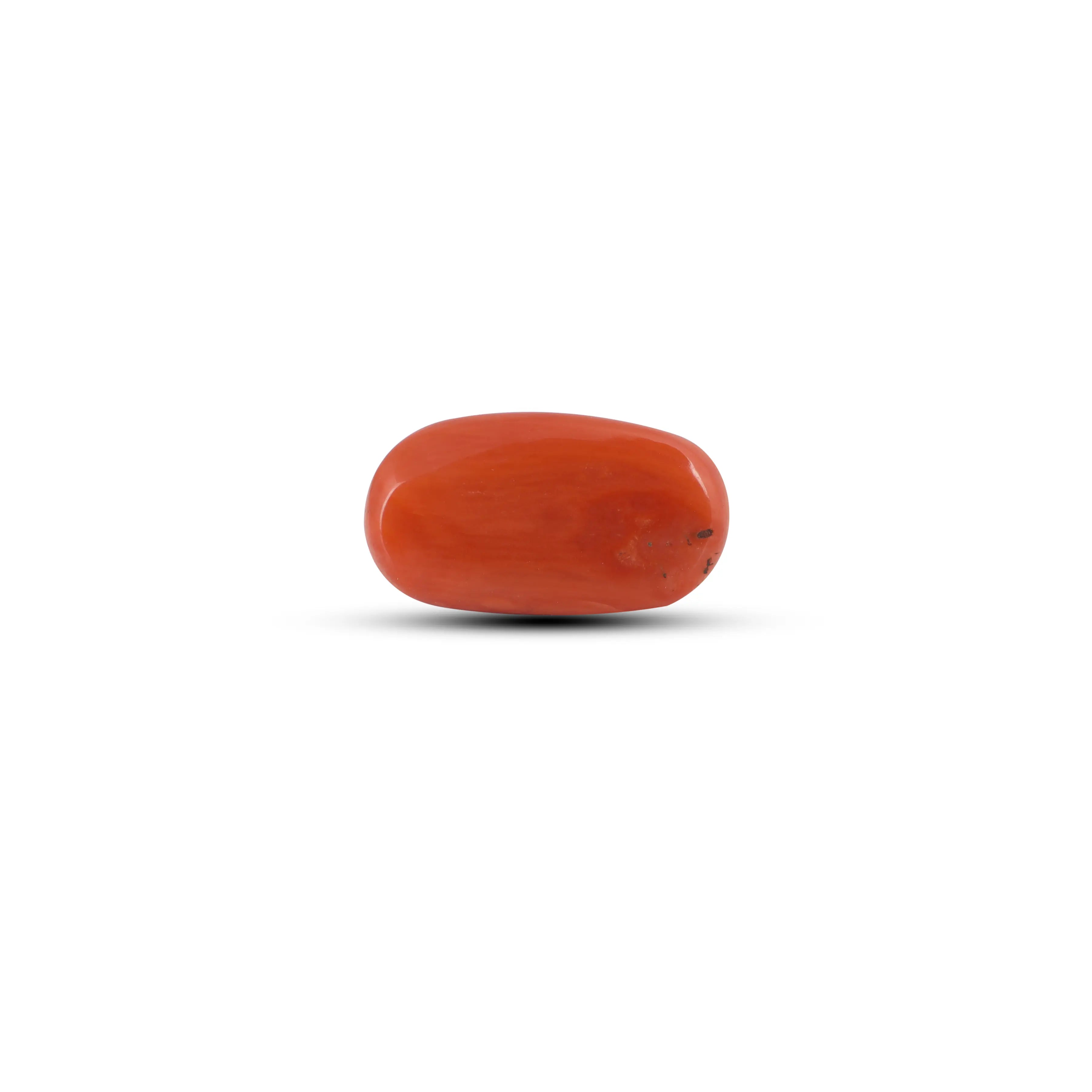 Pramogh Red Coral - 5.6 Carat - view 2