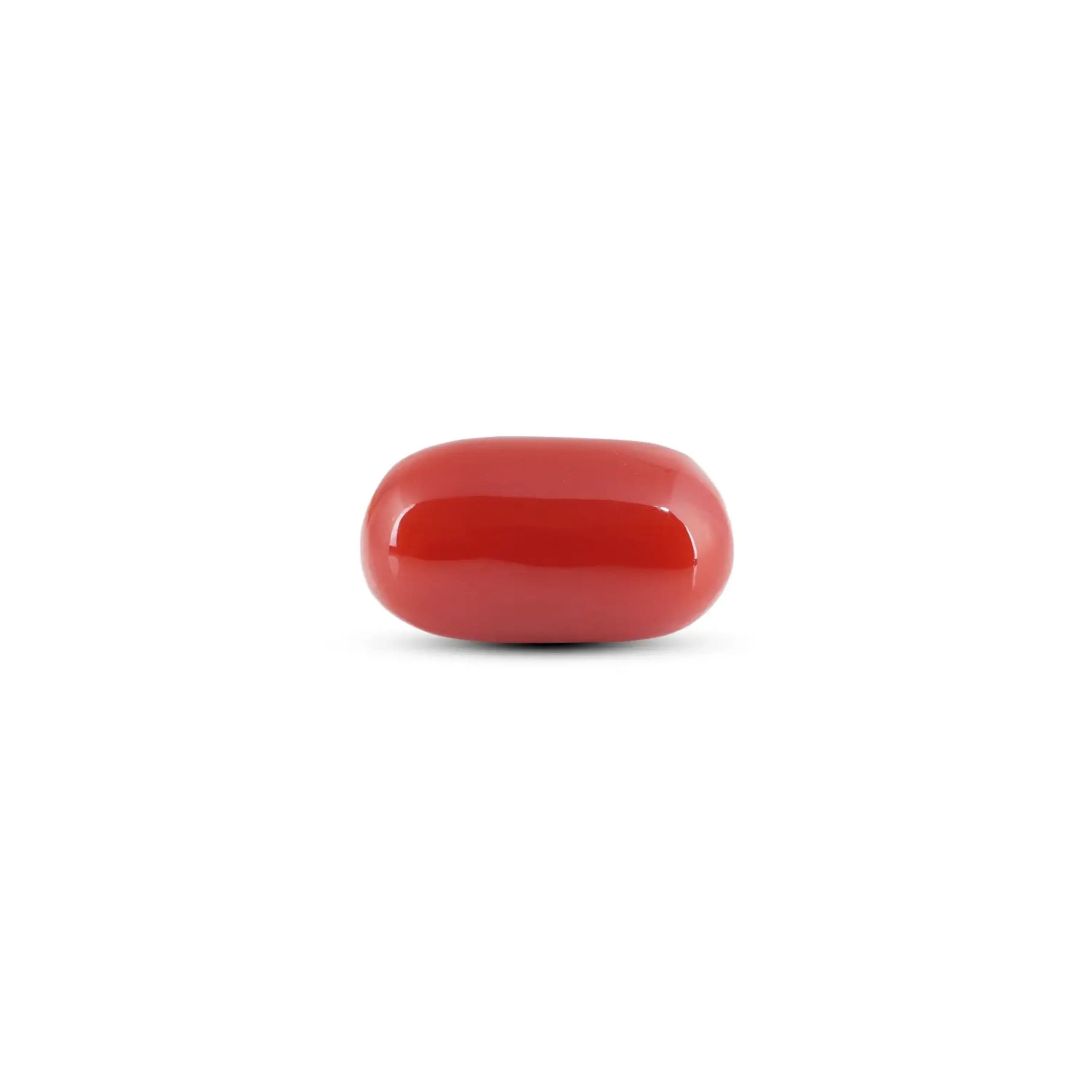 Pramogh Japanese Red Coral - 7.35 Carat