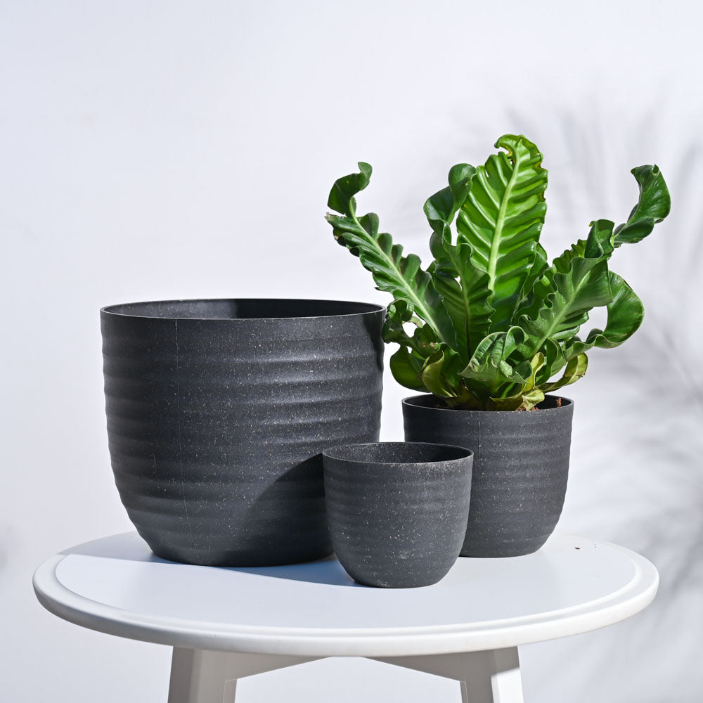 Ugaoo Verona Eco Planter - Set of 3