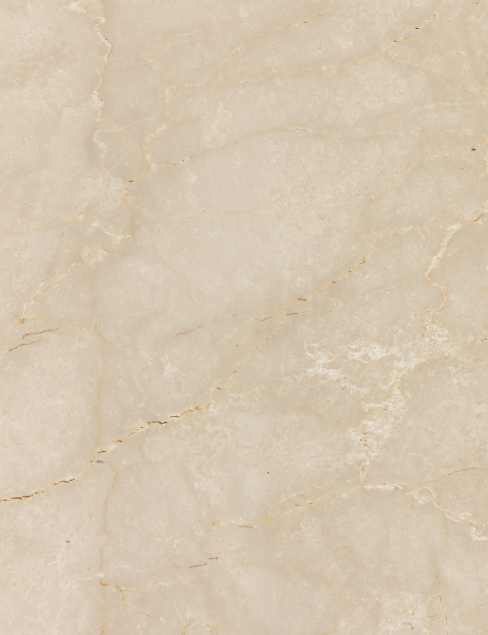Lulu and Georgia Open Box: Leonel Coffee Table, Cream Marble - view 10