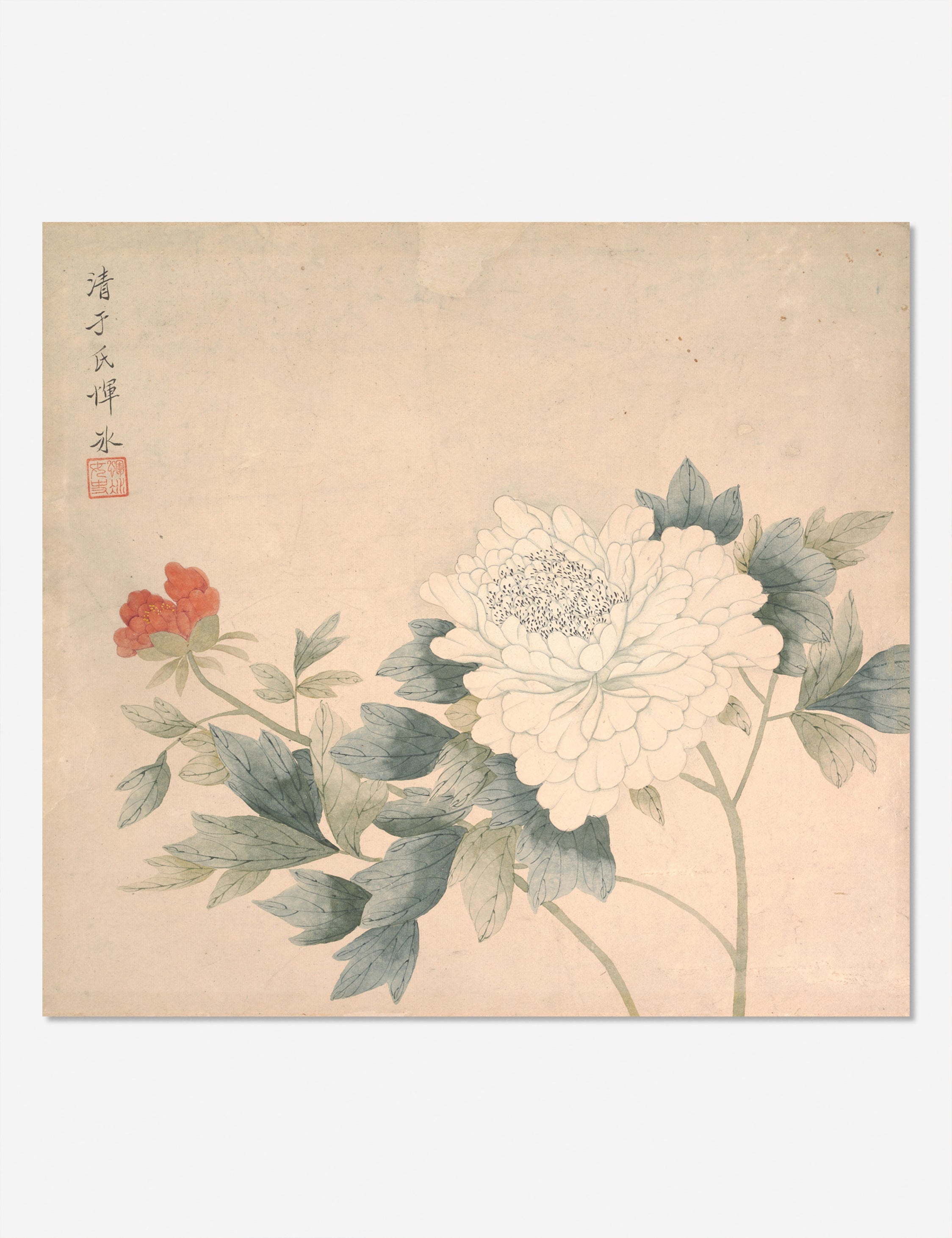 Lulu and Georgia Flower Study 2 Print by Yun Bing