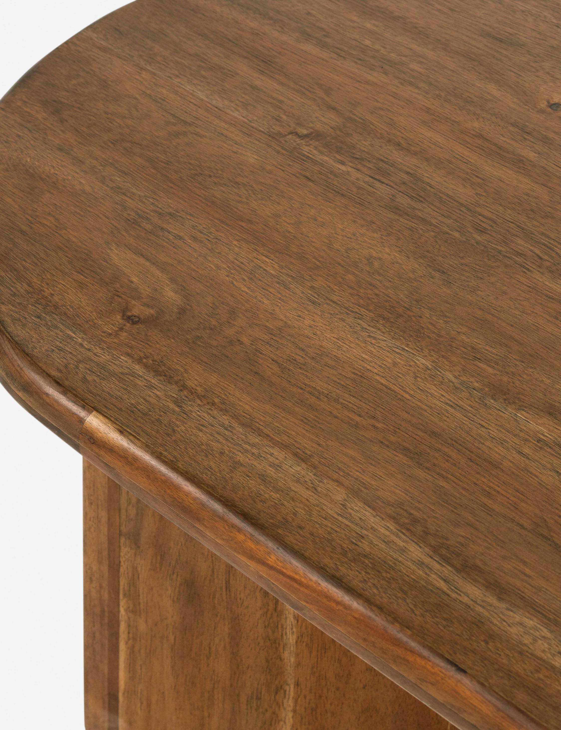 Lulu and Georgia Gilda Coffee Table - view 13