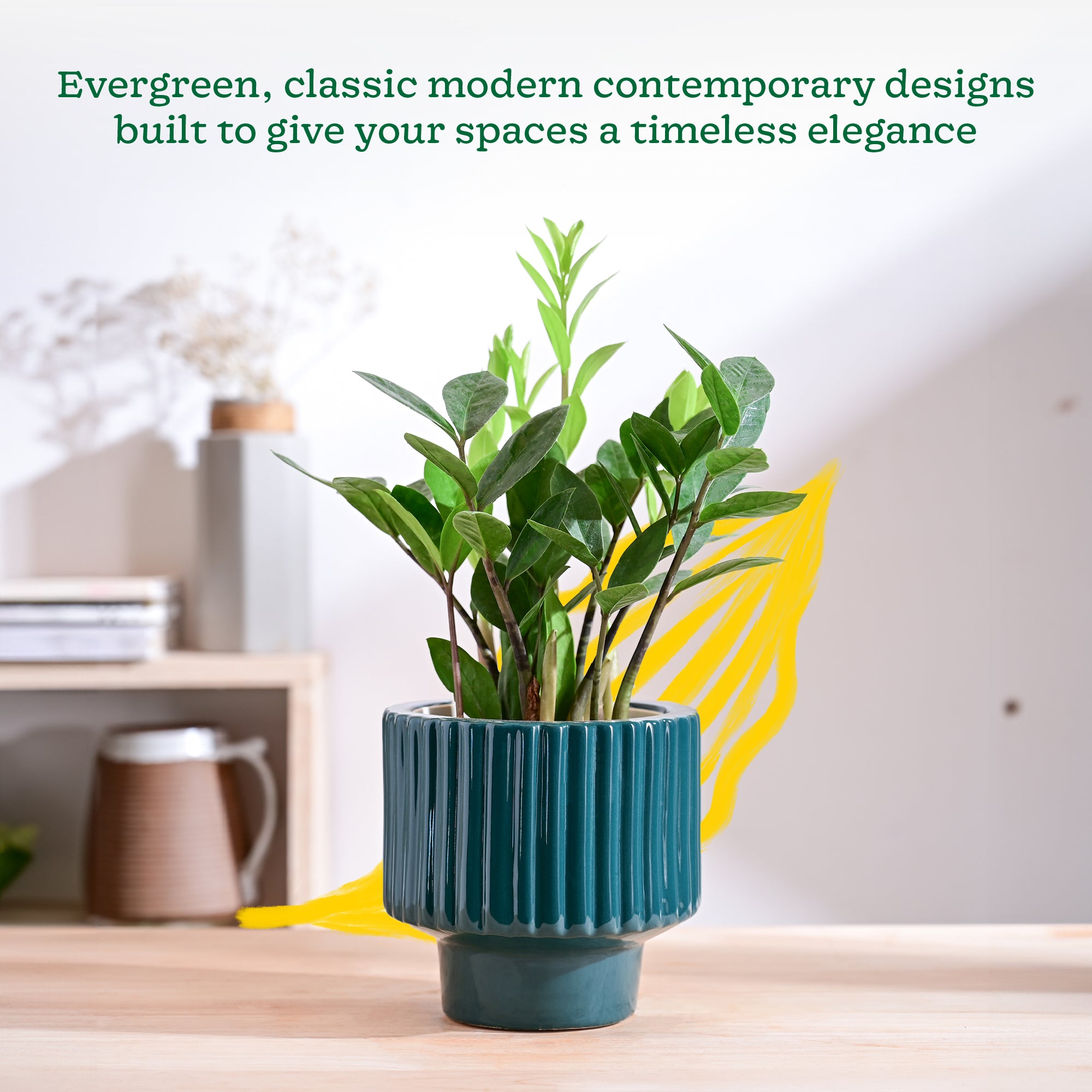 Ugaoo Forms of Love Ceramic Planter - view 42