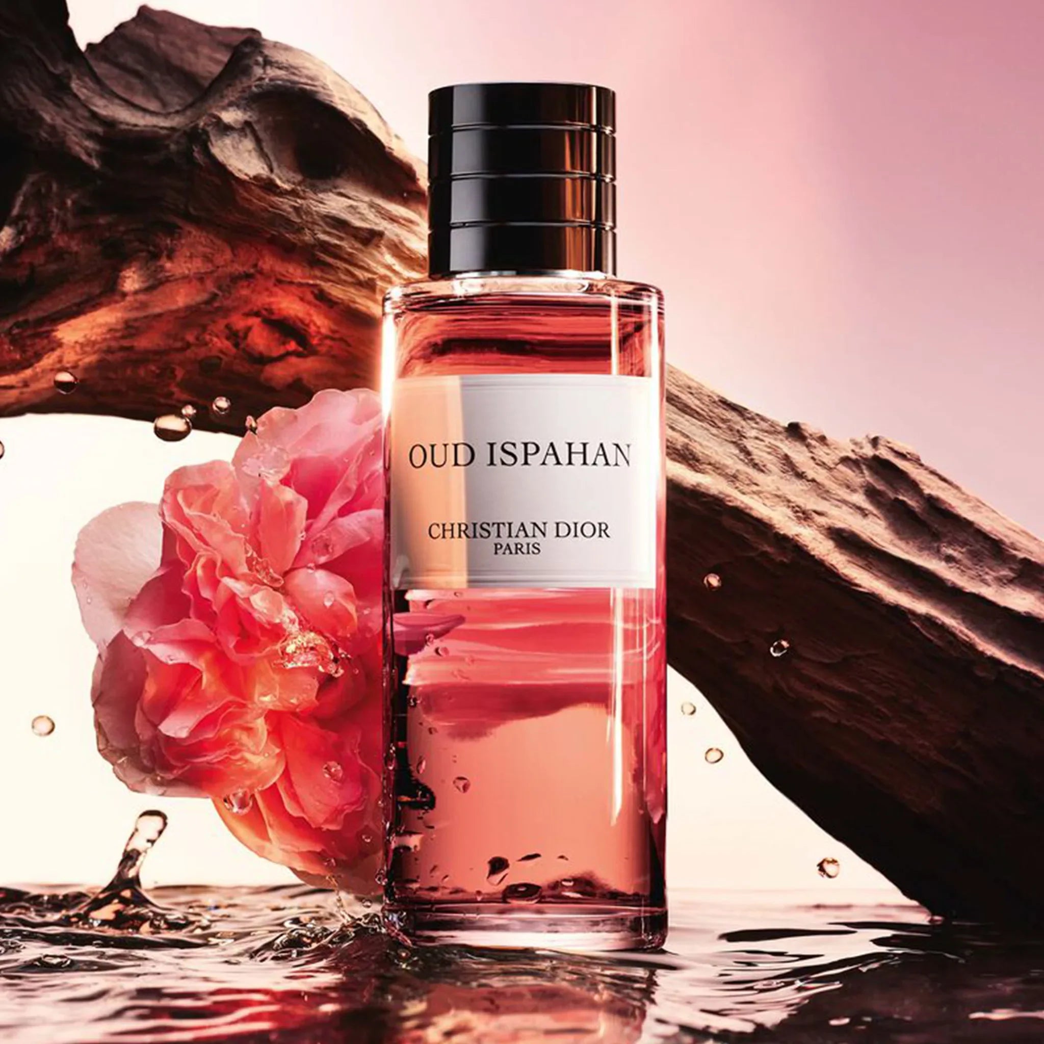 Dior Oud Ispahan Fragrance - view 3