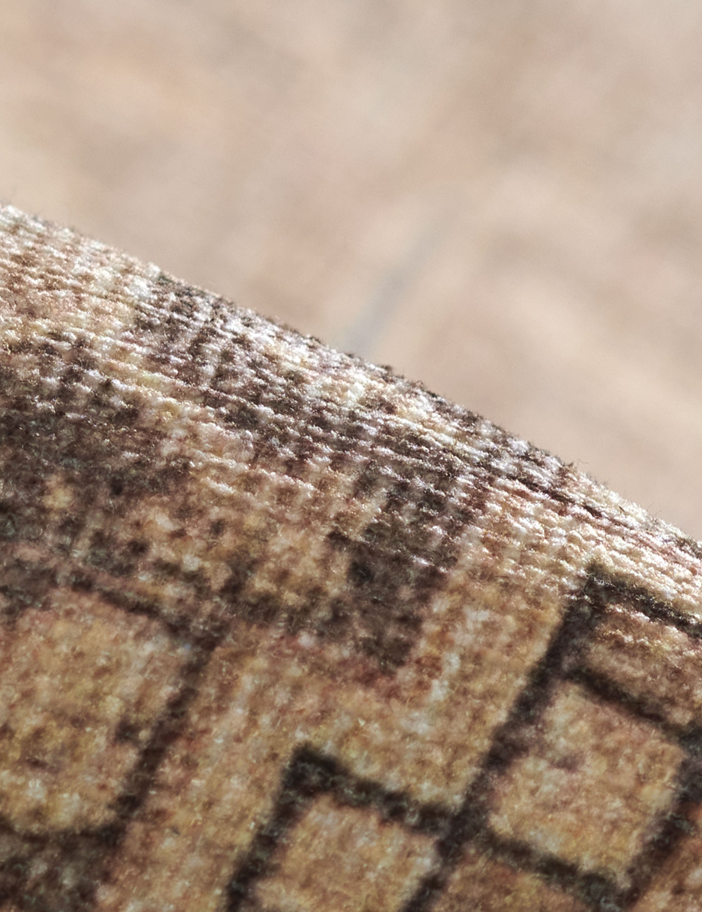 Lulu and Georgia Akins Rug - view 4