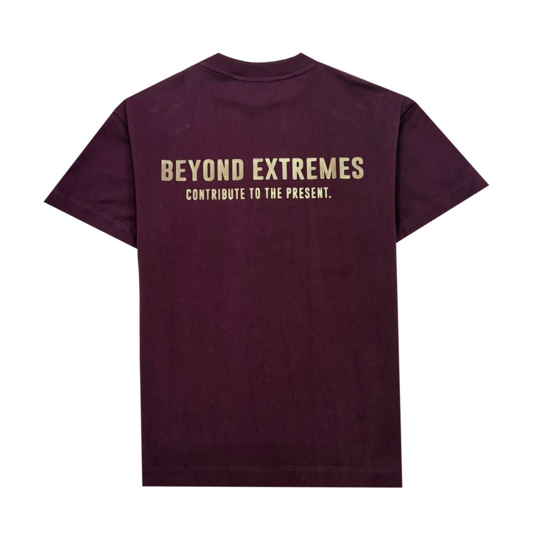 Beyond Extremes 3 T-shirt in Wine [Unisex] - view 2