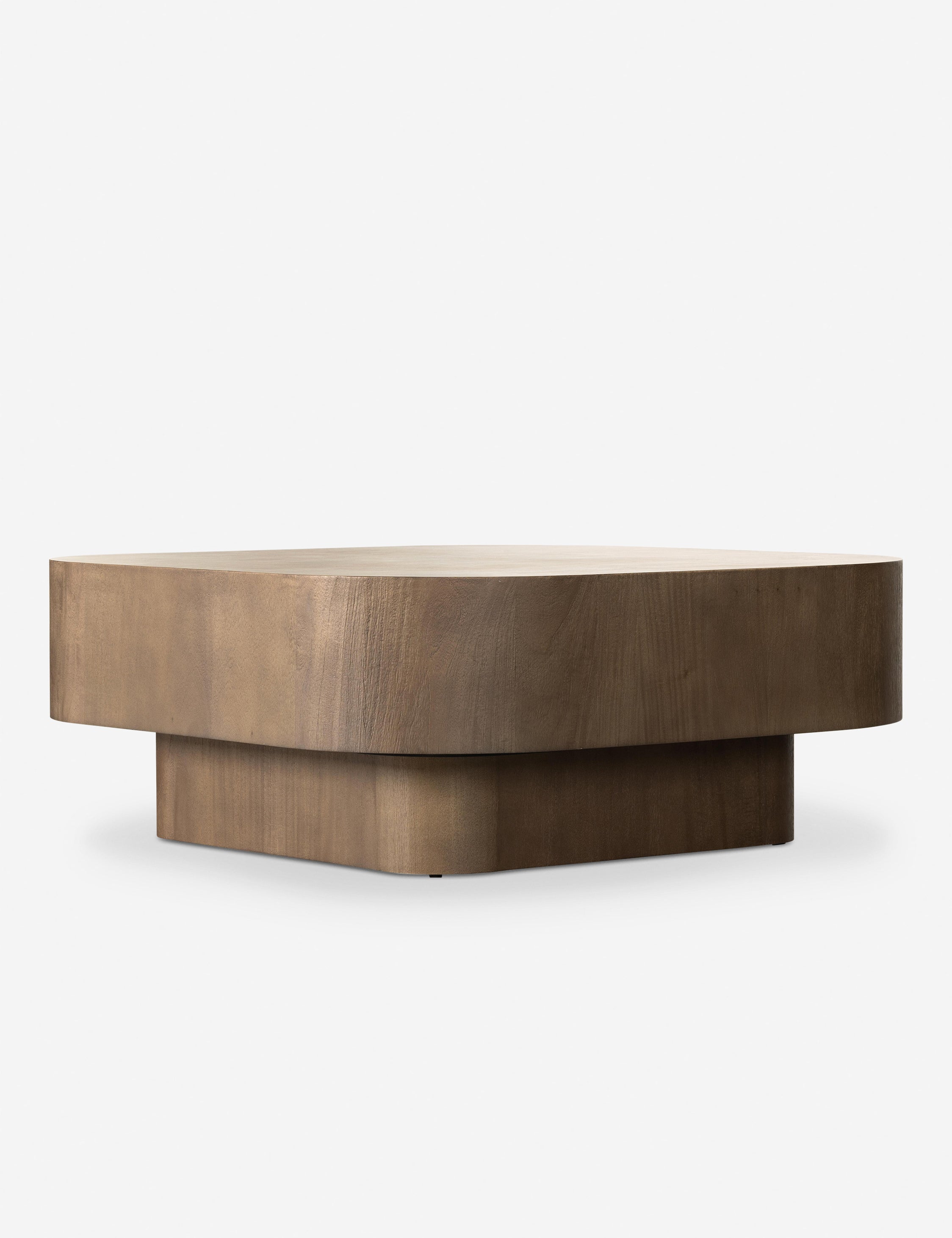 Lulu and Georgia Sunako Coffee Table - view 9