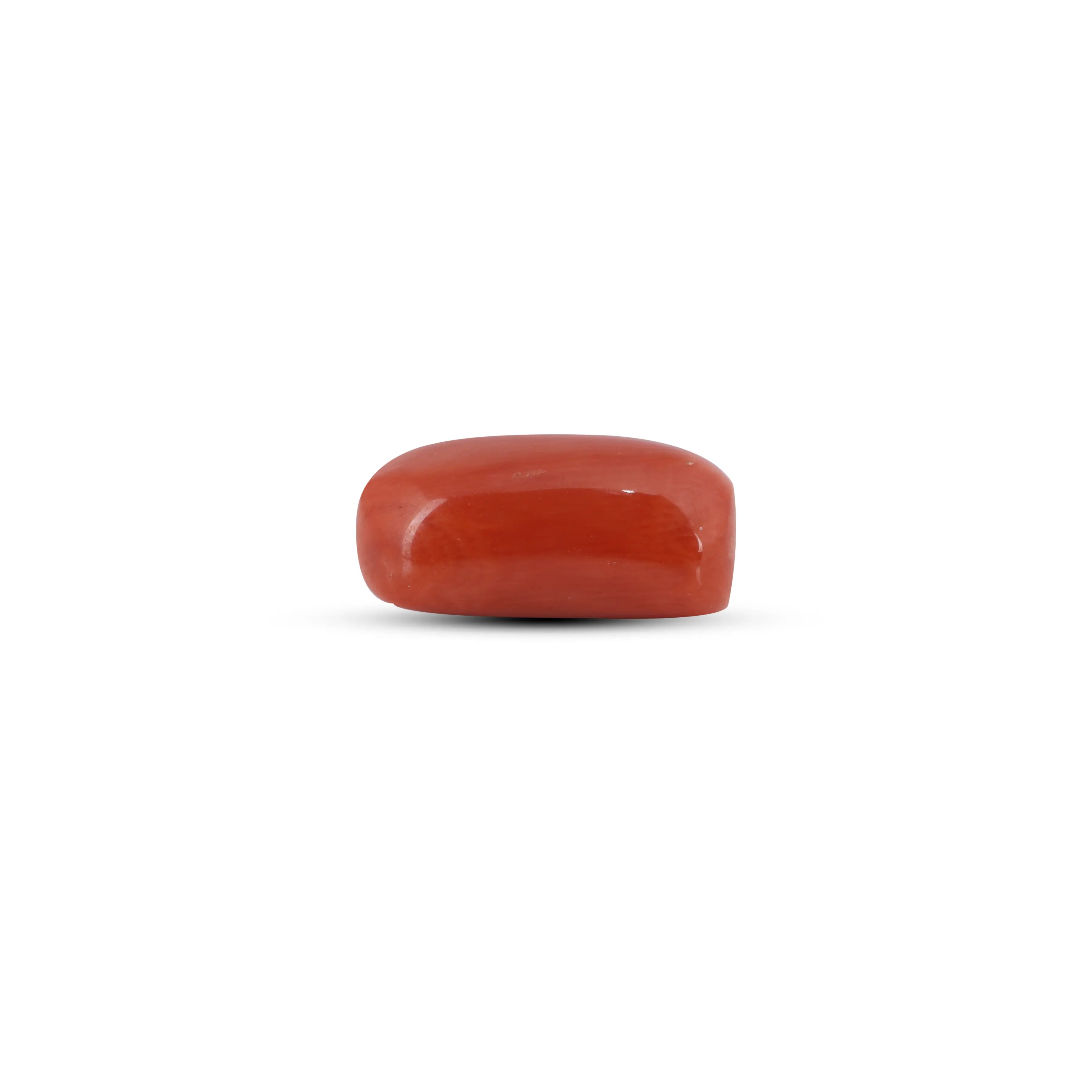 Pramogh Red Coral - 5.6 Carat - view 3
