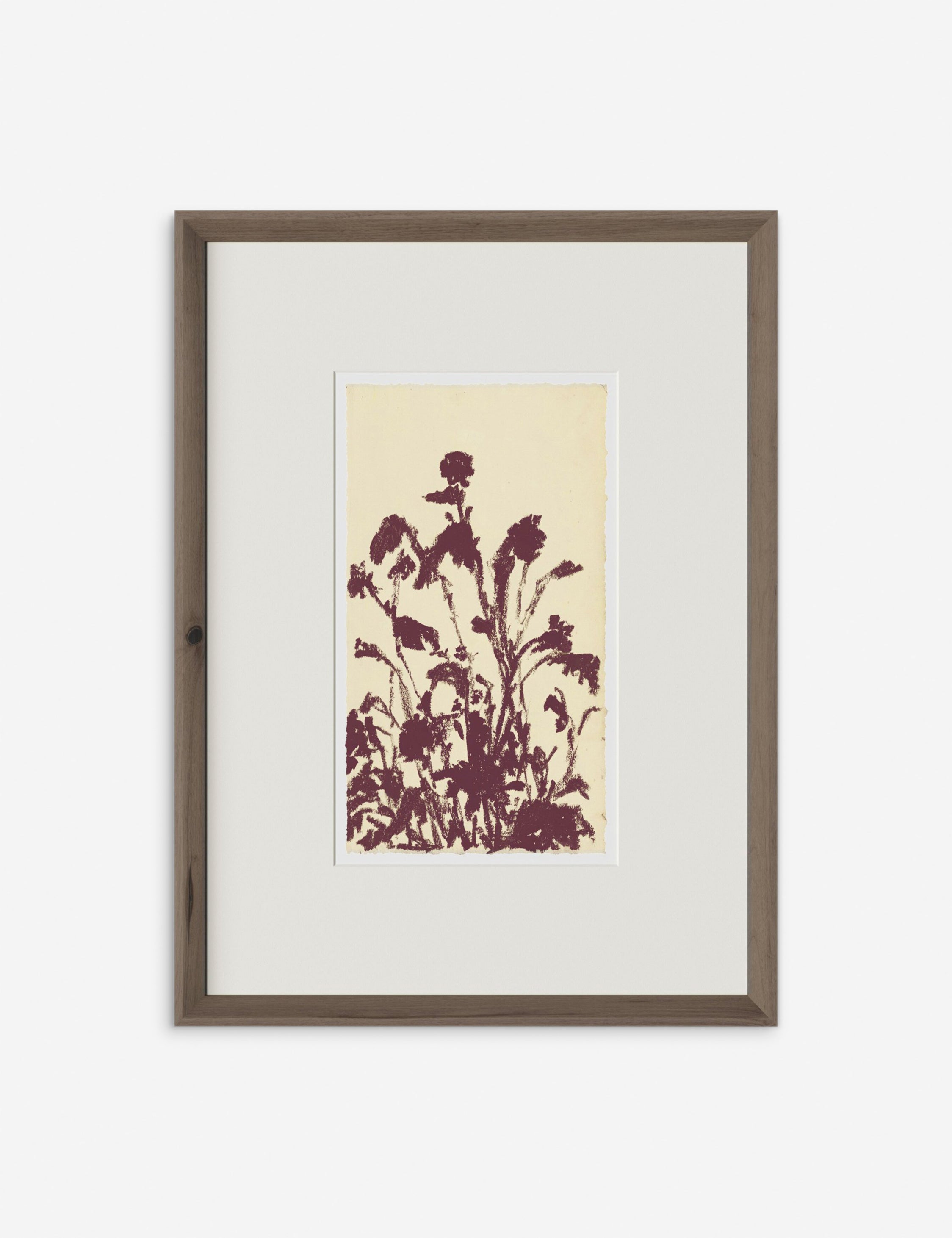 Lulu and Georgia Meadow Rue No. 6 Wall Art by Shaina Page