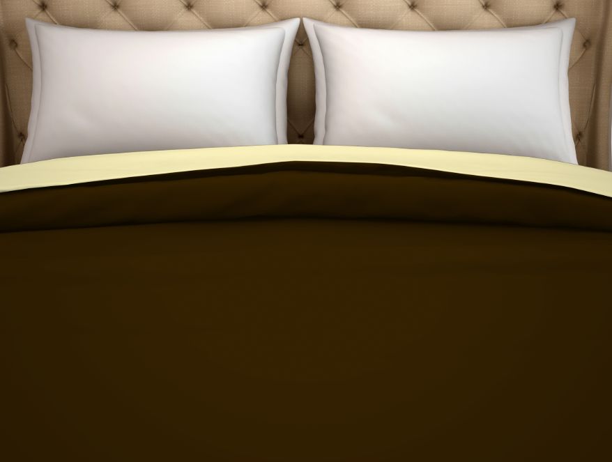 Spaces India Solid Chocolate/Cream - Dark Brown 100% Cotton Shell Double Quilt / AC Comforter - Hygro By Spaces - view 3