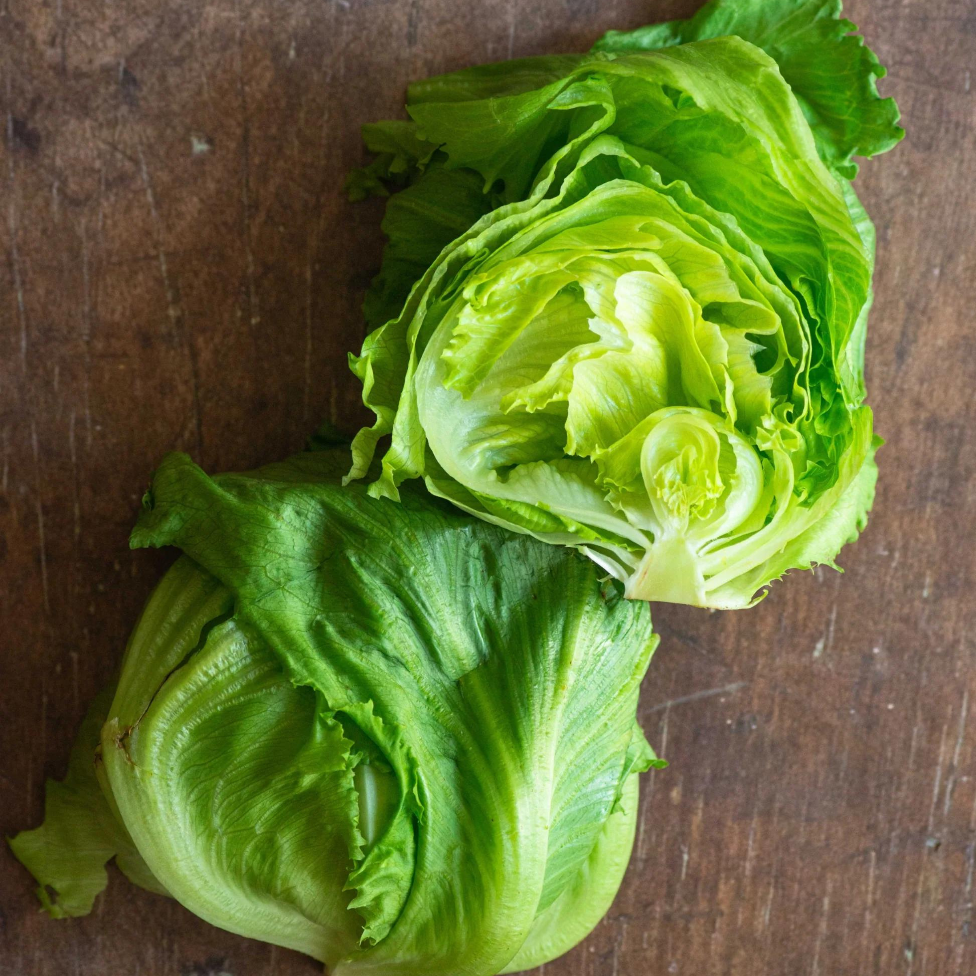 Seed2Plant Organic Iceberg Lettuce Seeds - Open Pollinated